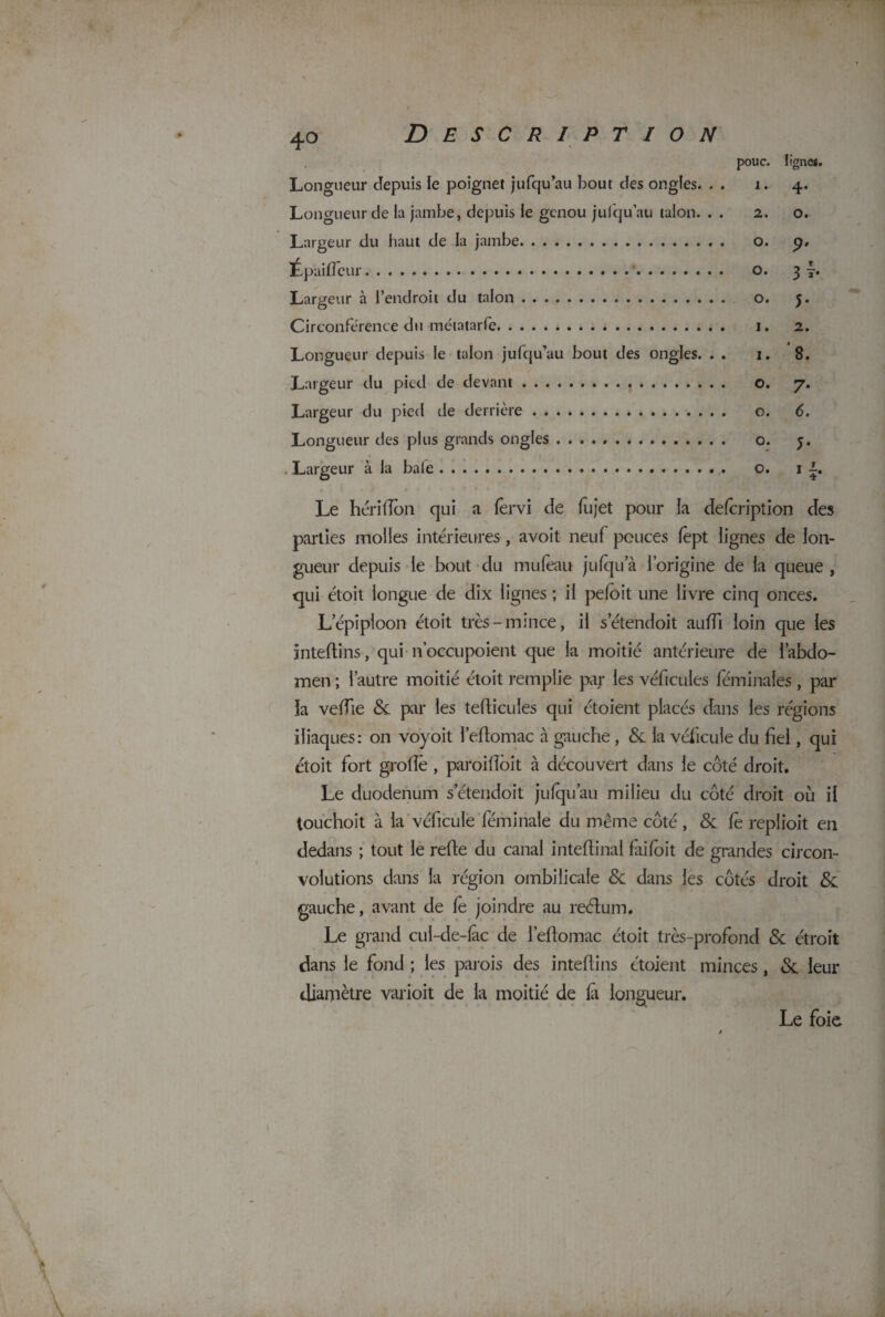 Longueur depuis le poignet jufqu’au bout des ongles. . . pouc. i. ligne*. 4- Longueur de la jambe, depuis le genou jufqu’au talon. . . 2. 0. Largeur du haut de la jambe. O. 9• Epaifleur.'. O. 3î* Largeur à l’endroit du talon. o. 5* Circonférence du métatarfe. I. 2. Longueur depuis le talon jufqu’au bout des ongles. . . I. 8. Largeur du pied de devant.. . O. 7- Largeur du pied de derrière. O. 6. Longueur des plus grands ongles. O. î- Largeur à la bafe. O. 1 ?• Le h cri (Ton qui a fêrvi de fujet pour la defcription des parties molles intérieures, avoit neuf pouces fèpt lignes de lon¬ gueur depuis le bout du mufeau jufqua l’origine de la queue , cpii étoit longue de dix lignes ; il pefoit une livre cinq onces. L épiploon étoit très-mince, il setendoit auffi loin que les inteflins, qui n’occupoient que la moitié antérieure de l’abdo¬ men ; l’autre moitié étoit remplie pa; les véhicules féminales , par la veffie 8c. par les teflicules qui étoient placés dans les régions iliaques: on voyoit l’eflomac à gauche, & la véhicule du fiel, qui étoit fort groflè , paroiflôit à découvert dans le côté droit. Le duodénum s’éteudoit jufquau milieu du côté droit où il touchoit à la véhicule héminale du même côté , 8c fe replioit en dedans ; tout le refie du canal inteflinal hrifoit de grandes circon¬ volutions dans la région ombilicale 8c dans les côtés droit <5c gauche, avant de le joindre au reélum. Le grand cul-de-fàc de l’eflomac étoit très-profond 8c étroit dans le fond ; les parois des inteflins étoient minces, <Sc leur diamètre varioit de la moitié de ht longueur. Le foie I