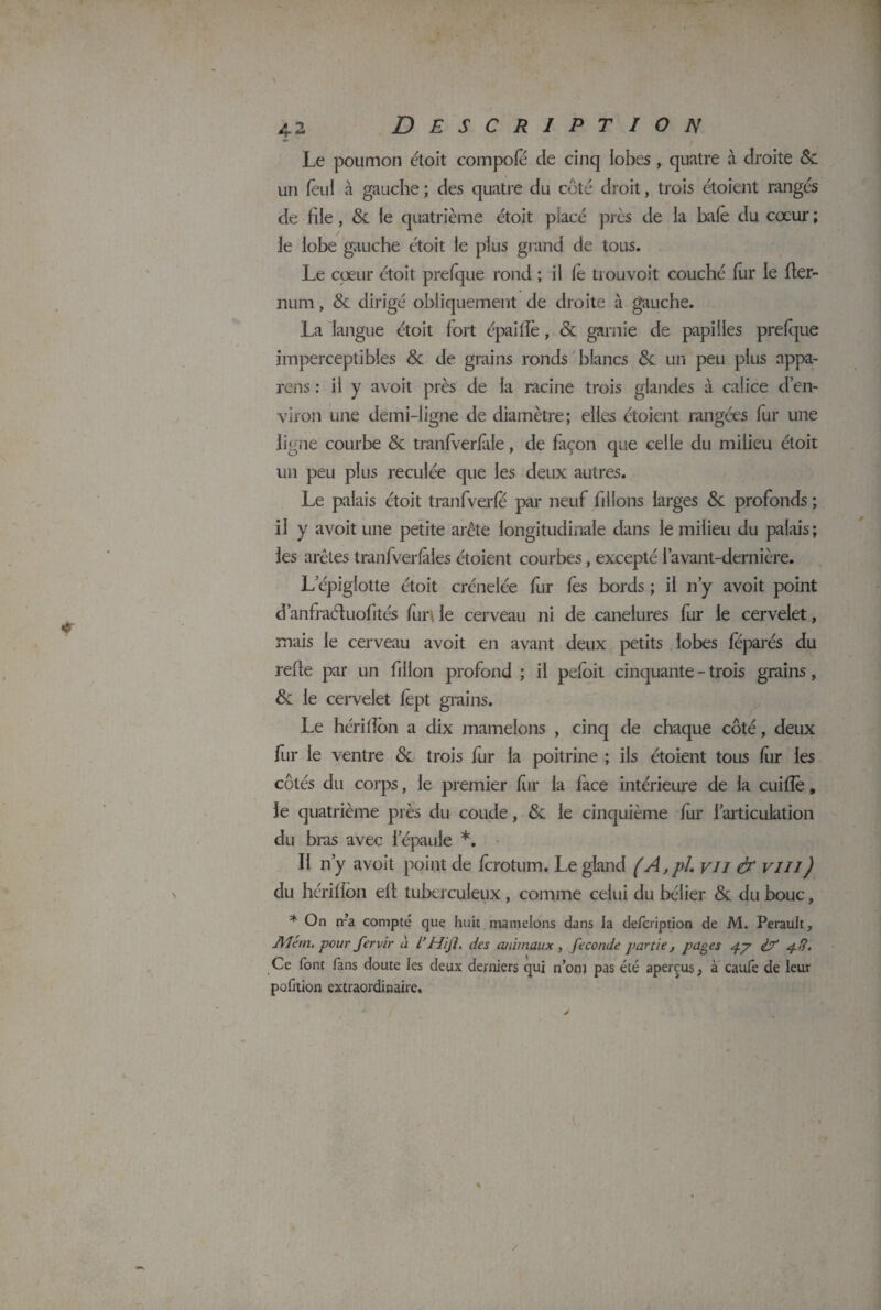 ~ / Le poumon étoit compofe de cinq lobes , quatre à droite 8c un feu! à gauche ; des quatre du côté droit, trois étoient rangés de file, 8c le quatrième étoit placé près de la baie du cœur ; le lobe gauche étoit le plus grand de tous. Le cœur étoit prefque rond ; il fè tiouvoit couché fur le fier- nu m , 8c dirigé obliquement de droite à gauche. La langue étoit fort épaifîe, 8c garnie de papilles prefque imperceptibles 8c de grains ronds blancs 8c un peu plus appa¬ reils : il y avoit près de la racine trois glandes à calice d’en¬ viron une demi-ligne de diamètre; elles étoient rangées fur une ligne courbe 8c tranfverfàle, de façon que celle du milieu étoit un peu plus reculée que les deux autres. Le palais étoit tranfverfe par neuf filions larges 8c profonds ; il y avoit une petite arête longitudinale dans le milieu du palais; les arêtes tranfverfâies étoient courbes, excepté l’avant-dernière. L’épiglotte étoit crénelée fur fès bords ; il n’y avoit point d’anfraéluofités fiiri le cerveau ni de canelures fur le cervelet, mais le cerveau avoit en avant deux petits lobes feparés du refie par un fillon profond ; il pefoit cinquante - trois grains, 8c le cervelet fèpt grains. Le hérifîon a dix mamelons , cinq de chaque côté, deux fur le ventre 8c trois fur la poitrine ; ils étoient tous fur les côtés du corps, le premier fur la face intérieure de la cuifîè, le quatrième près du coude, 8c le cinquième fur l’articulation du bras avec l’épaule *. Il n’y avoit point de fcrotum. Le gland (A,pl. vu & vin) du hérifîon ell tuberculeux , comme celui du bélier 8c du bouc, * On n’a compté que huit mamelons dans la defcription de M. Perault, A'Iém, pour fer vir à l’Mi fl. des animaux , fécondé partie, pages py l? pff. Ce font fans doute les deux derniers qui nom pas été aperçus, à caufe de leur pofition extraordinaire.