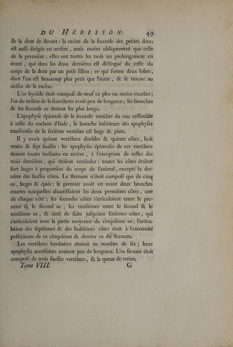 de la dent de devant : la racine de la féconde des petites dents eft auffi dirigée en arrière , mais moins obliquement que celle de la première : elles ont toutes les trois un prolongement en avant , qui dans les deux dernières eft diftingué du refte du corps de la dent par un petit fillon ; ce qui forme deux lobes, dont lun eft beaucoup plus petit que l’autre , 6c fè trouve au deflus de la racine. L’os hyoïde étoit compofe de neuf os plus ou moins courbes ; l’os du milieu de la fourchette avoit peu de longueur; les branches 6c les féconds os étoient les plus longs. L’apophyfé épineufé de la féconde vertèbre du cou reftèmbïe à celle du cochon d’Inde ; la branche inférieure des apophyfés tranfverfés de la fixième vertèbre eft large 6c plate. II y avoit quinze vertèbres dorfales 6c quinze côtes , huit vraies 6c fépt fauïïès ; les apophyfés épineufés de ces vertèbres étoient toutes inclinées en arrière , à l’exception de celles des trois dernières, qui étoient verticales : toutes les côtes étoient fort larges à proportion du corps de l’animal, excepté la der¬ nière des fauftès côtes. Le fternum netoit compofe que de cinq os , larges 6c épais ; le premier avoit en avant deux branches courtes auxquelles aboutiffoient les deux premières côtes, une de chaque côté ; les fécondes côtes s’articuloient entre le pre¬ mier 6ç le fécond os , les troifièmes entre le fécond 6c le troifième os , 6c ainfi de fuite jufqu’aux fixièmes côtes, qui s’articuloient avec la partie moyenne du cinquième os ; l’articu¬ lation des léptièmes 6c des huitièmes côtes étoit à l’extrémité poftéfieure de ce cinquième 6c dernier os du fternum. •Les vertèbres lombaires étoient au nombre de fix ; leurs apophylés accefioires avoient peu de longueur. L’os fâcrum étoit compofé de trois faufîés vertèbres, 6c la queue de treize. Tome VIII G