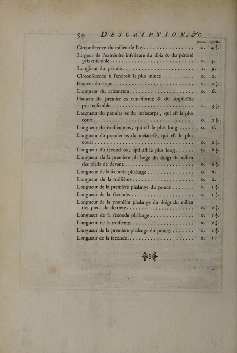 5* Description, ère. pouc. ligne*.' Circonférence du milieu de l’os. o. 4 Largeur de l’extrémité inférieure du tibia & du péroné pris eniembie. o. 4. Longueur du péroné. 1. 9. Circonférence à l’endroit le plus mince. o. 2. Hauteur du carpe. o. 2 Longueur du calcanéum. .. o. 6 Hauteur du premier os cunéiforme & du feaphoïde pris enfemble. o. 3 Longueur du premier os du métacarpe, qui eft le plus court. o. 2 . . # . . . . . Longueur du troifième os, qui eft le plus long. o, 6 Longueur du premier os du métatarfe, qui eft le plus court... . . . .. o. 2 Longueur du fécond os, qui eft le plus long. o. 6 Longueur de la première phalange du doigt du milieu des pieds de devant. o. 2 Longueur de la fécondé phalange... o. 2, Longueur de la troifième. o. 2 Longueur de ia première phalange du pouce. o. 1 Longueur de la féconde. o. 1 Longueur de la première phalange du doigt du milieu Longueur de la fécondé phalange. o. 1 Longueur de la troifième. o. 2 Longueur de Ja première phalange du pouce;. o. 1 Longueur de la fécondé. o. 1. . . ■^@4* . » . « *\ _ . ... 9 1 w In 4-|h u[m u*!» w|m v«|i» * * «uii. * w|i» n|~. * »|«i