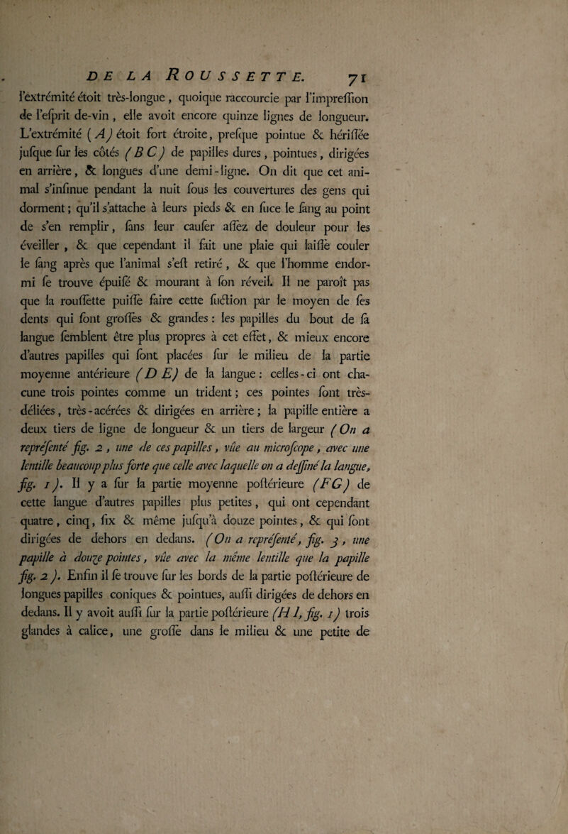 l’extrémité étoit très-longue , quoique raccourcie par i’impreftion de l’efprit de-vin , elle avoit encore quinze lignes de longueur. L’extrémité ( A) étoit fort étroite, prefque pointue 8c hérifîee jufque fur les côtés ( B C) de papilles dures , pointues, dirigées en arrière, & longues d’une demi-ligne. On dit que cet ani¬ mal s’infmue pendant la nuit fous les couvertures des gens qui dorment ; qu’il s’attache à leurs pieds 8c en fuce le fàng au point de s’en remplir, fans leur caufer allez de douleur pour les éveiller , 8c que cependant il fait une plaie qui laifîè couler le fàng après que l’animal s’efl retiré , 8c que l’homme endor¬ mi fe trouve épuife <Sc mourant à fon réveil. Il ne paroît pas que la rouftêtte puifte faire cette fuétion par le moyen de les dents qui font grofîès &: grandes : les papilles du bout de fà langue femblent être plus propres à cet effet, & mieux encore d’autres papilles qui font placées fur le milieu de la partie moyenne antérieure (D E) de la langue: celles-ci ont cha¬ cune trois pointes comme un trident ; ces pointes font très- déliées, très-acérées & dirigées en arrière; la papille entière a deux tiers de ligne de longueur 8c un tiers de largeur ( On a repréfenté fg. 2 , une de ces papilles, vûe au microfcope, avec une lentille beaucoup plus forte que celle avec laquelle on a dejfné la langue> fg. j J. Il y a fur la partie moyenne poftérieure ( F G ) de cette langue d’autres papilles plus petites, qui ont cependant quatre , cinq, fix 8c même jufqu a douze pointes, 8c qui font dirigées de dehors en dedans. ( On a repréfenté, fg. g , une papille à dou^e pointes, vûe avec la même lentille que la papille fg. 2 ). Enfin il fe trouve fur les bords de la partie poftérieure de longues papilles coniques 8c pointues, aufti dirigées de dehors en dedans. Il y avoit aufti fur la partie poftérieure (H 1, fg. /) trois glandes à calice, une groftè dans le milieu 8c une petite de