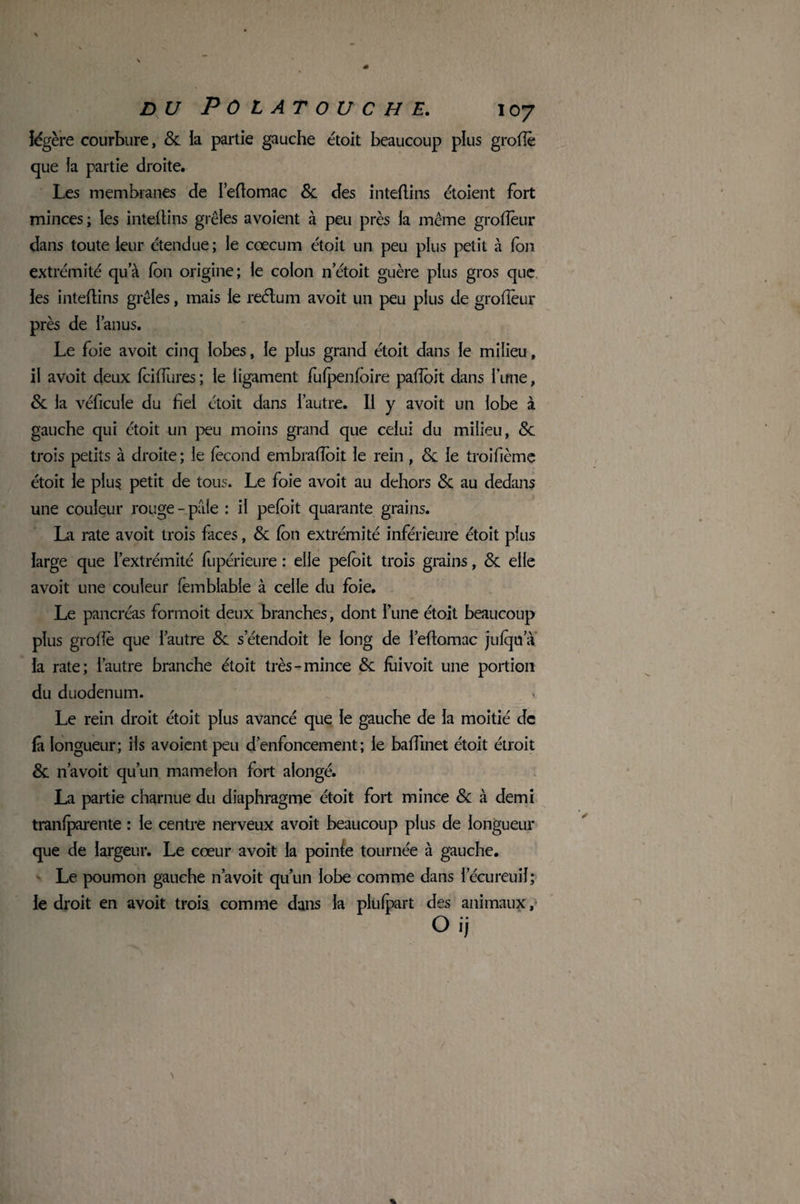 îdgère courbure, & la partie gauche étoit beaucoup plus groftè que la partie droite. Les membranes de I’eflomac & des inteflins étoient fort minces; les intejdins grêles avoient à peu près la même grofîeur dans toute leur étendue; le cæcum étoit un peu plus petit à fon extrémité qu’à fon origine; le colon n’étoit guère plus gros que les inteflins grêles, mais le reélum avoit un peu plus de grofîèur près de l’anus. Le foie avoit cinq lobes, le plus grand étoit dans le milieu, il avoit deux fciffures; le ligament fu(peufoire pafîoit dans lune, 8c la véficule du bel étoit dans l’autre. Il y avoit un lobe à gauche qui étoit un peu moins grand que celui du milieu, <Sc trois petits à droite; le fécond embrafîoit le rein, 8c le troifième étoit le plus petit de tous. Le foie avoit au dehors <Sc au dedans une couleur rouge-pâle : il pefoit quarante grains. La rate avoit trois faces, 8c fon extrémité inférieure étoit plus large que l’extrémité fupérieure : elle pefoit trois grains, 8c elle avoit une couleur femblable à celle du foie. Le pancréas forrnoit deux branches, dont l’une étoit beaucoup plus groffè que l’autre «Se setendoit le long de l’eflomac jufqn’à la rate; l’autre branche étoit très-mince 8c fui voit une portion du duodénum. v Le rein droit étoit plus avancé que le gauche de la moitié de fâ longueur; ils avoient peu d’enfoncement ; le baffinet étoit étroit 8c n’avoit qu’un mamelon fort alongé. La partie charnue du diaphragme étoit fort mince 8c à demi tranfparente : le centre nerveux avoit beaucoup plus de longueur que de largeur. Le cœur avoit la pointe tournée à gauche. Le poumon gauche n’avoit qu’un lobe comme dans l’écureuil; le droit en avoit trois comme dans la plufpart des animaux, O ij