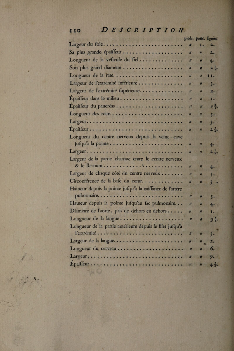 Largeur du foie. Sa plus grande épaifîèur. Longueur de la véficule du fiel. Son plus grand diamètre.. ... . . Longueur de la rate. Largeur de l’extrémité inférieure. Largeur de l’extrémité iupérieure. Épaifîèur dans le milieu. Epaifîèur du pancréas. Longueur des reins... Largeur^. Epaifîèur. Longueur du centre nerveux depuis la veine - cave julqu’à la pointe.. * Largeur. pieds, pouc. lignes; H 1.2. U II 2. Il II 4. H M 2 j. U ./ II. n'' u 3. Il II 2. Il U I. 11 11 n j. u n 5. n n 3. n n 2 j. u u 4. u n 2 ~. Largeur de la partie charnue entre le centre nerveux & le fternum ..k.. // u 4. Largeur de chaque côté du centre nerveux. n n j» Circonférence de la bafe du cœur. u u 3 . Hauteur depuis la pointe jufqu a la naiflànce de l’artère pulmonaire. // n j. Hauteur depuis la pointe jufqu’au fie pulmonaire. . . // // 4. Diamètre de l’aorte , pris de dehors en dehors. u n 1. Longueur de la langue. n n y f. Longueur de la partie antérieure depuis le filet jufqu a l’extrémité ....»... n u 3. Largeur de la langue. n u ^ 2. Longueur du cerveau .. n n 6. Largeur. . . .. u u y. Épaifîèur. u u 4 /