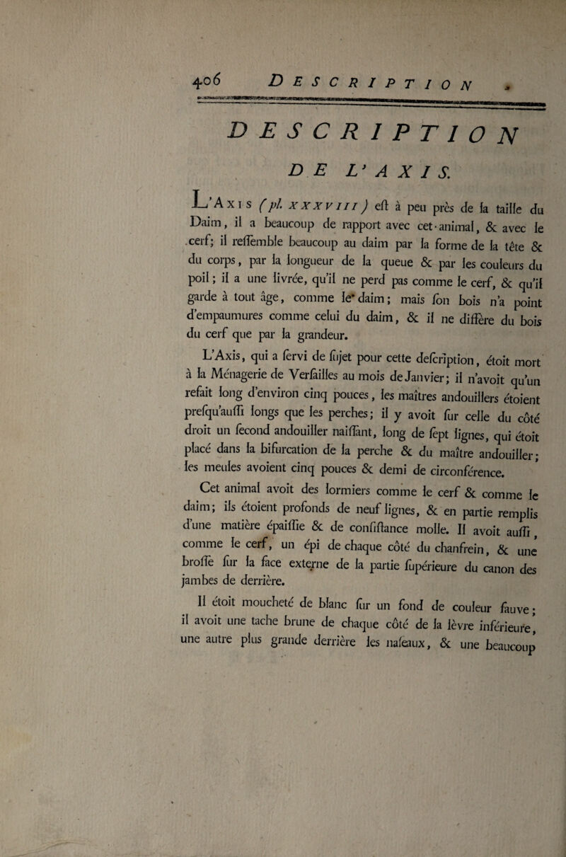 JT DESCRIPT 10 N DE L‘ A X I S. L’Axis (pl. xxxvm) elt à peu près de fa tailfe du Daim, il a beaucoup de rapport avec cet animal, & avec le .cerf; il reffembîe beaucoup au daim par la forme de la tête & du corps, par ia longueur de la queue & par les couleurs du poil ; il a une livrée, qu’il ne perd pas comme le cerf, & qu’il garde à tout âge, comme le'daim; mais fon bois n’a point d’empaumures comme celui du daim, & il ne diffère du bois du cerf que par la grandeur. L’Axis, qui a fervi de flijet pour cette defcrîption, étoit mort à la Ménagerie de Verfailles au mois de Janvier; il n’avoit qu’un refait long d’environ cinq pouces, les maîtres andouillers étaient prefqu’auffi longs que les perches; il y avoit fur celle du côté droit un fécond andouiller naifiant, long de fèpt lignes, qui étoit placé dans la bifurcation de la perche & du maître andouiller; les meules avoient cinq pouces & demi de circonférence. Cet animal avoit des lormiers comme le cerf & comme le daim; ils étaient profonds de neuf lignes, & en partie remplis d’une matière épaiffie & de confiance molle. Il avoit auffi, comme le cerf, un epi de chaque côté du chanfrein, & une broffe fur la face externe de la partie fupérieure du canon des jambes de derrière. Il étoit moucheté de blanc for un fond de couleur fauve ; il avoit une tache brune de chaque côté de fa lèvre inférieure', une autre plus grande derrière les naleaux, & une beaucoup