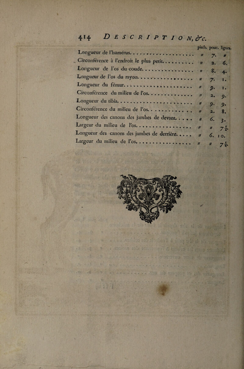 * * . ' ' ! Longueur de l’humérus. pieds. pour • ligne», Circonférence à l’endroit le plus Longueur de l'os du coude. . . petit. 7- H r 2. 0 O* Longueur de l’os du rayon. 0. 4. Longueur du fémur. 7* I. Circonférence du milieu de l’os. 9- I. Longueur du tibia. 2# 9' Circonférence du milieu de l’os. , 9• 9* Q Longueur des canons des jambes de devant. . . Largeur du milieu de l’os. • . // 2 • 6. 0. 3* __ T Longueur des canons des jambes de derrière Largeur du milieu de l’os.. // 6. 7 4* I 0. _ I U 7 *• :