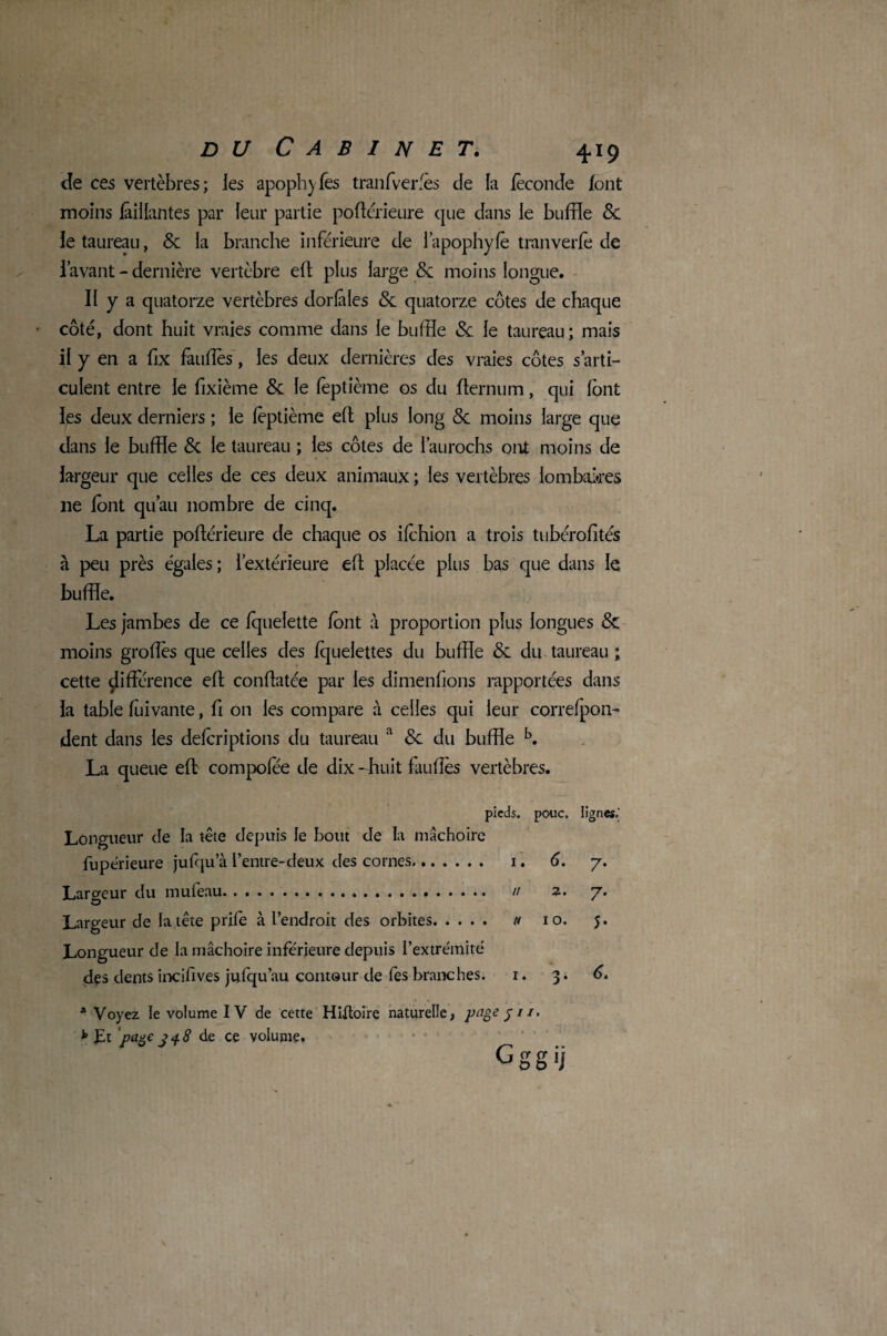 de ces vertèbres; les apophy fes tranfverfes de la féconde font moins taillantes par leur partie poflérieure que dans le buffle 6c le taureau, 6c la branche inférieure de l’apophyfè tranverfe de lavant - dernière vertèbre eft plus large & moins longue. Il y a quatorze vertèbres dorfâles 6c quatorze côtes de chaque côté, dont huit vraies comme dans le buffle 6c le taureau; mais il y en a fix faillies, les deux dernières des vraies côtes s’arti¬ culent entre le fixième 6c le fèptième os du flernum, qui font les deux derniers ; le fèptième eft plus long 6c moins large que dans le buffle 6c le taureau ; les côtes de l’aurochs ont moins de largeur que celles de ces deux animaux ; les vertèbres lombaires lie font qu’au nombre de cinq. La partie poflérieure de chaque os ilchion a trois tubérofîtés à peu près égales; l’extérieure eft placée plus bas que dans le buffle. Les jambes de ce fquelette font à proportion plus longues 6c moins groflès que celles des fquelettes du buffle 6c du taureau ; cette différence eft conftatée par les dimenfions rapportées dans la table fiiivante, fi on les compare à celles qui leur correfpon- dent dans les defcriptions du taureau a 6c du buffle b. La queue eft compolee de dix - huit fauflès vertèbres. pieds, pouc. lignes.' Longueur de la tête depuis le bout de la mâchoire fupérieure juleju’à I’entre-deux des cornes. i. 6. y. Largeur du mufeau. // 2. 7. Largeur de la tête prile à l’endroit des orbites. // 10. 5. Longueur de la mâchoire inférieure depuis l’extrémité des dents incifives jufqu’au contour de Tes branches. 1. 3. 6« \ ( . . 8 Voyez le volume I V de cette Hiftoire naturelle, pagejii. h Et page 348 de ce volupté» Ggg’ï