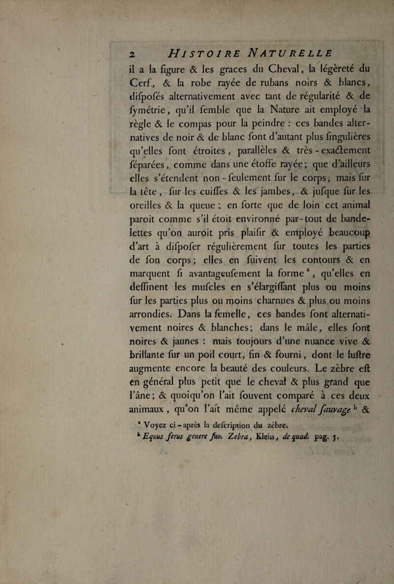 il a ia figure & les grâces du Cheval, la légèreté du Cerf, & la robe rayée de rubans noirs Si blancs, difpofés alternativement avec tant de régularité Si de fymétrie, qu’il femble que la Nature ait employé la règle Si le compas pour la peindre : ces bandes alter¬ natives de noir Si de blanc font d’autant plus fingulières qu’elles font étroites , parallèles Si très - exactement féparées, comme dans une étoffe rayée; que d’ailleurs elles s’étendent non - feulement fur le corps, mais fur la tête, fur les cuiffes Si les jambes, Si jufque fur les oreilles & la queue ; en forte que de loin cet animal paroît comme s’il étoit environné par-tout de bande¬ lettes qu’on auroit pris plaifir Si employé beaucoup d’art à difpofer régulièrement fur toutes les parties de fon corps ; elles en fuivent les contours Si en marquent fi avantageufement la formea, qu’elles en deffment les mufcles en s’élargiffant plus ou moins fur les parties plus ou moins charnues Si plus ou moins arrondies. Dans la femelle, ces bandes font alternati¬ vement noires Si blanches; dans le mâle, elles font noires Si jaunes : mais toujours d’une nuance vive Si brillante fur un poil court, fin & fourni, dont le luflre augmente encore la beauté des couleurs. Le zèbre efl en général plus petit que le cheval Si plus grand que l’âne; & quoiqu’on l’ait fouvent comparé à ces deux animaux , qu’on l’ait même appelé cheval fauvage b Si * Voyez ci-après la defcription du zèbre. h Equus férus genere fuo. Zébra, Klein, de quad. pag. j.