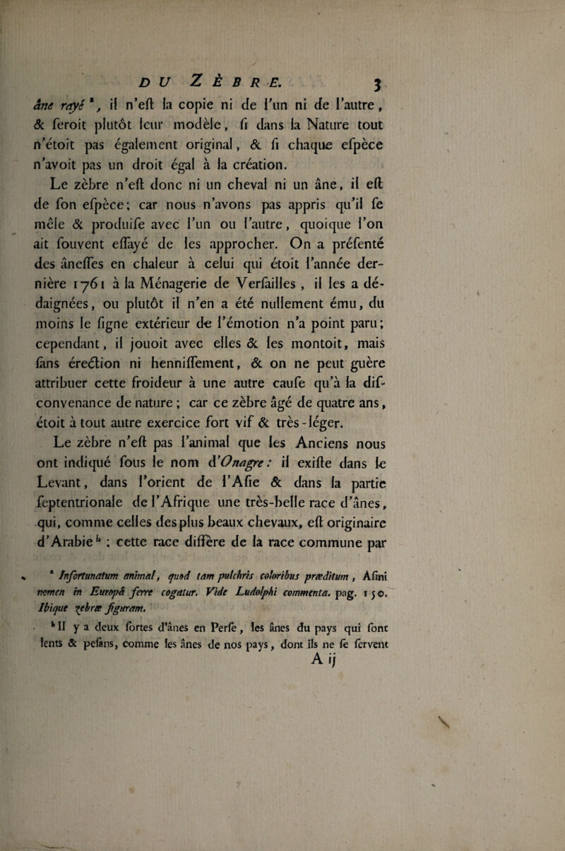 âne rayé*, il n’efl la copie ni cle l'un ni de l’autre, & feroit plutôt leur modèle, fi dans la Nature tout n’étoit pas également original, & fi chaque efpèce n’avoit pas un droit égal à la création. Le zèbre n’efl: donc ni un cheval ni un âne, il elt de Ton efpèce; car nous n’avons pas appris qu’il fe mele Si produife avec l’un ou l’autre, quoique l’on ait fouvent efTayé de les approcher. On a préfenté des âneffes en chaleur à celui qui étoit l’année der¬ nière 1761 à la Ménagerie de Vcriailles , il les a dé¬ daignées, ou plutôt il n’en a été nullement ému, du moins le figne extérieur de l’émotion n’a point paru ; cependant, il jouoit avec elles Si les montoit, mais fans éreélion ni henniffement, Si on ne peut guère attribuer cette froideur à une autre caufe qu’à la dif- convenance de nature ; car ce zèbre âgé de quatre ans, étoit atout autre exercice fort vif Si très-léger. Le zèbre n’efl: pas l’animal que les Anciens nous ont indiqué fous le nom & Onagre: il exifte dans le Levant, dans l’orient de l’Afie & dans la partie feptentrionale de l’Afrique une très-belle race d’ânes, qui, comme celles des plus beaux chevaux, efl originaire d’Arabieb ; cette race diffère de la race commune par * Infortunatum animal, qmd tam pulchris coloribus præditum , A fini nom en in Europa ferre cogatur. Vide Ludolphi commenta, pag. 150. Ibique £tbree fguretm. k II y a deux fortes d’ânes en Perfè , ïes ânes du pays qui font lents & pelâns, comme les ânes de nos pays, dont ils ne fê fervent A ij