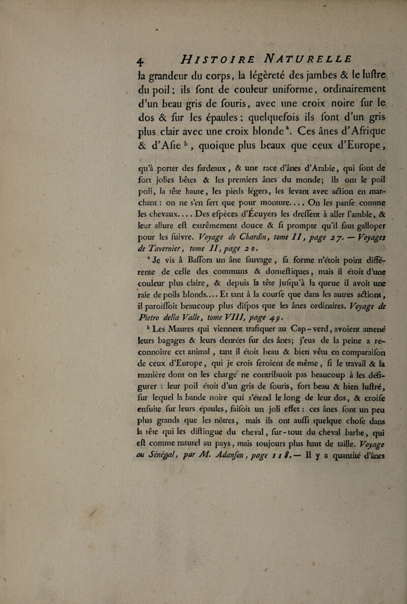 la grandeur du corps, la légèreté des jambes & le luftre du poil ; ils font de couleur uniforme, ordinairement d'un beau gris de fouris, avec une croix noire fur le dos & fur les épaules ; quelquefois ils font d'un gris plus clair avec une croix blondea. Ces ânes d'Afrique Si d’Afie h , quoique plus beaux que ceux d'Europe, qu’à porter des fardeaux , & une race d ânes d’Arabie, qui font de fort jolies bêtes & les premiers ânes du monde; ils ont le poil poli, la tête haute, les pieds légers, les levant avec action en mar¬ chant : on ne s’en fert que pour monture.... On les panfe comme les chevaux.... Des efpèces d’Écuyers les drefîênt à aller humble, & leur allure eft extrêmement douce & fi prompte qu’il faut galloper pour les fuivre. Voyage de Chardin, tome II, page 2y. — Voyages de Tavernier, tome II, page 2 0. a Je vis à BafTora un âne fàuvage , fà forme n’étoit point diffé¬ rente de celle des communs & donieftiques, mais il e'toit d’une couleur plus claire, & depuis la tête jufqu’à la queue il avoit une raie de poils blonds.... Et tant à la courfe que dans les autres actions, il paroifîoit beaucoup plus dilpos que les ânes ordinaires. Voyage de Pielro délia Valle, tome VIII, page 4p. b Les Maures qui viennent trafiquer au Cap - verd, avoient amené leurs bagages & leurs denrées fur des ânes; j’eus de la peine a re- connoître cet animal , tant il étoit beau & bien vêtu en comparaifbn de ceux d’Europe, qui je crois fêroient de même , fi le travail & la manière dont on les charge' ne contribuoit pas beaucoup à les défi¬ gurer : leur poil étoit d’un gris de fouris, fort beau & bien Iuftré, fur lequel la bande noire qui s’étend le long de leur dos, & croife enfuite fur leurs épaules, fàifoit un joli effet : ces ânes font un peu plus grands que les nôtres, mais ils ont aufîi quelque choie dans la tête qui les diftingue du cheval, fur-tout du cheval barbe, qui eft comme naturel au pays, mais toujours plus haut de taille. Voyage au Sénégal, par M. Adanfon, page 1 / 8,— II y a quantité d’ânes