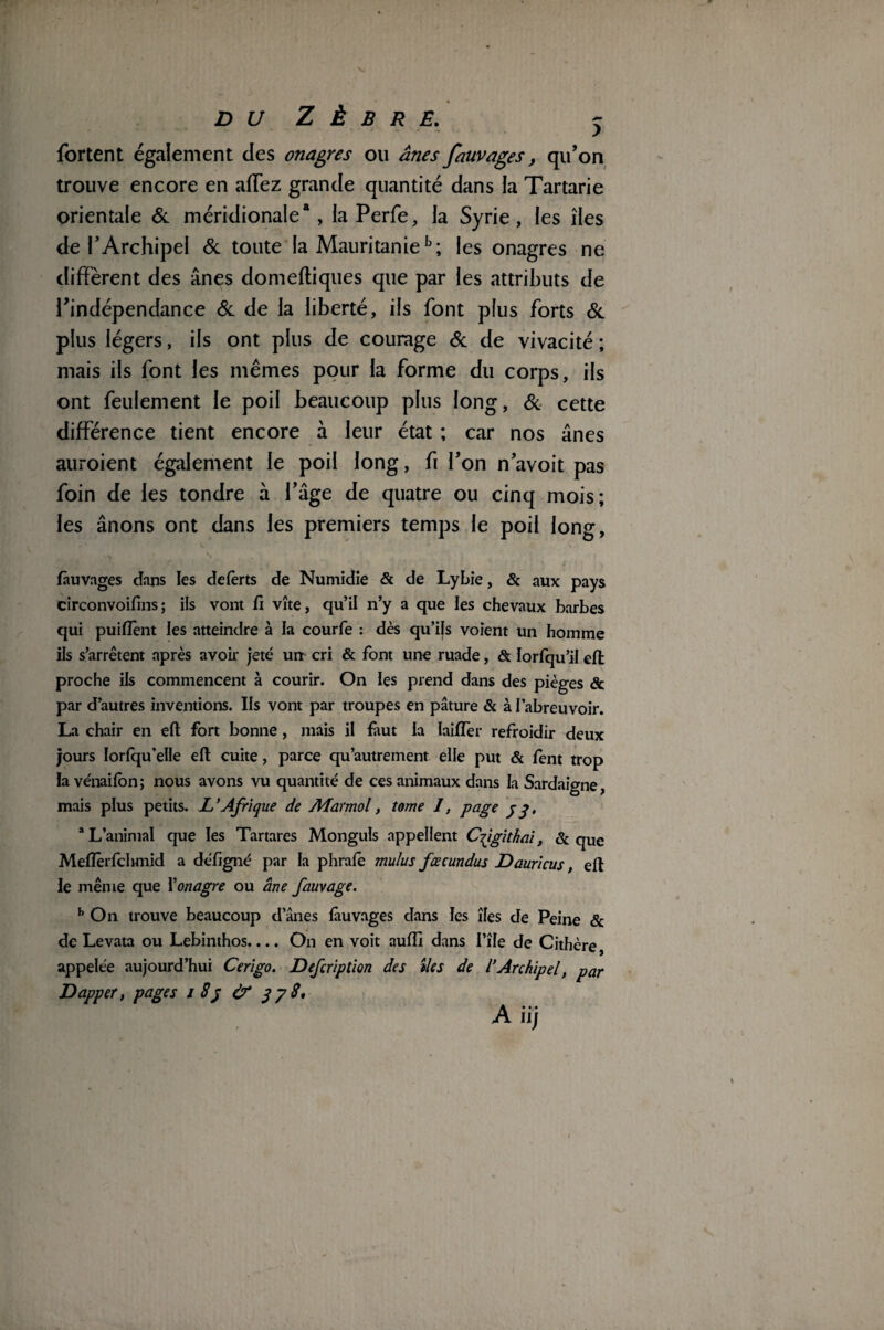 DU ZÈBRE, - fortent également des onagres ou ânes fauvages, qu’on trouve encore en affez grande quantité dans la Tartarie orientale & méridionale8, la Perfe, la Syrie, les îles de l’Archipel & toute la Mauritanieb; les onagres ne diffèrent des ânes domeftiques que par les attributs de l’indépendance & de la liberté, ils font plus forts & plus légers, ils ont plus de courage & de vivacité ; mais ils font les mêmes pour la forme du corps, ils ont feulement le poil beaucoup plus long, & cette différence tient encore à leur état ; car nos ânes auroient également le poil long, fi l’on n’avoit pas foin de les tondre à l’âge de quatre ou cinq mois; les ânons ont dans les premiers temps le poil long, fauvages dans les defèrts de Numidie & de Lybie, & aux pays eirconvoifms ; ils vont fi vîte, qu’il n’y a que les chevaux barbes qui puifïènt les atteindre à la courfe : dès qu’ifs voient un homme ils s’arrêtent après avoir jeté un cri & font une ruade, & lorfqu’il efl proche ils commencent à courir. On les prend dans des pièges & par d’autres inventions. Ils vont par troupes en pâture & à l’abreuvoir. La chair en efl fort bonne , mais il faut la Iaiflèr refroidir deux jours Iorfqu’eiie efl cuite, parce qu’autrement elle put & fent trop la vénaifbn; nous avons vu quantité de ces animaux dans la Sardaigne, mais plus petits. L’Afrique de ATarmol, tome I, page jg, a L’animal que les Tartares Monguls appellent C^igithai, & que Mefïêrfclunid a défigné par la phrafe mulus fœcundus Dauricus, efl le même que Y onagre ou âne fauvage. h On trouve beaucoup d’ânes fauvages dans les îles de Peine & de Levata ou Lebinthos.... On en voit aufîî dans I’île de Cithère, appelée aujourd’hui Cerigo. Defcription des îles de l’Archipel, par Dapper, pages i 8p & y 7 S. A iïj