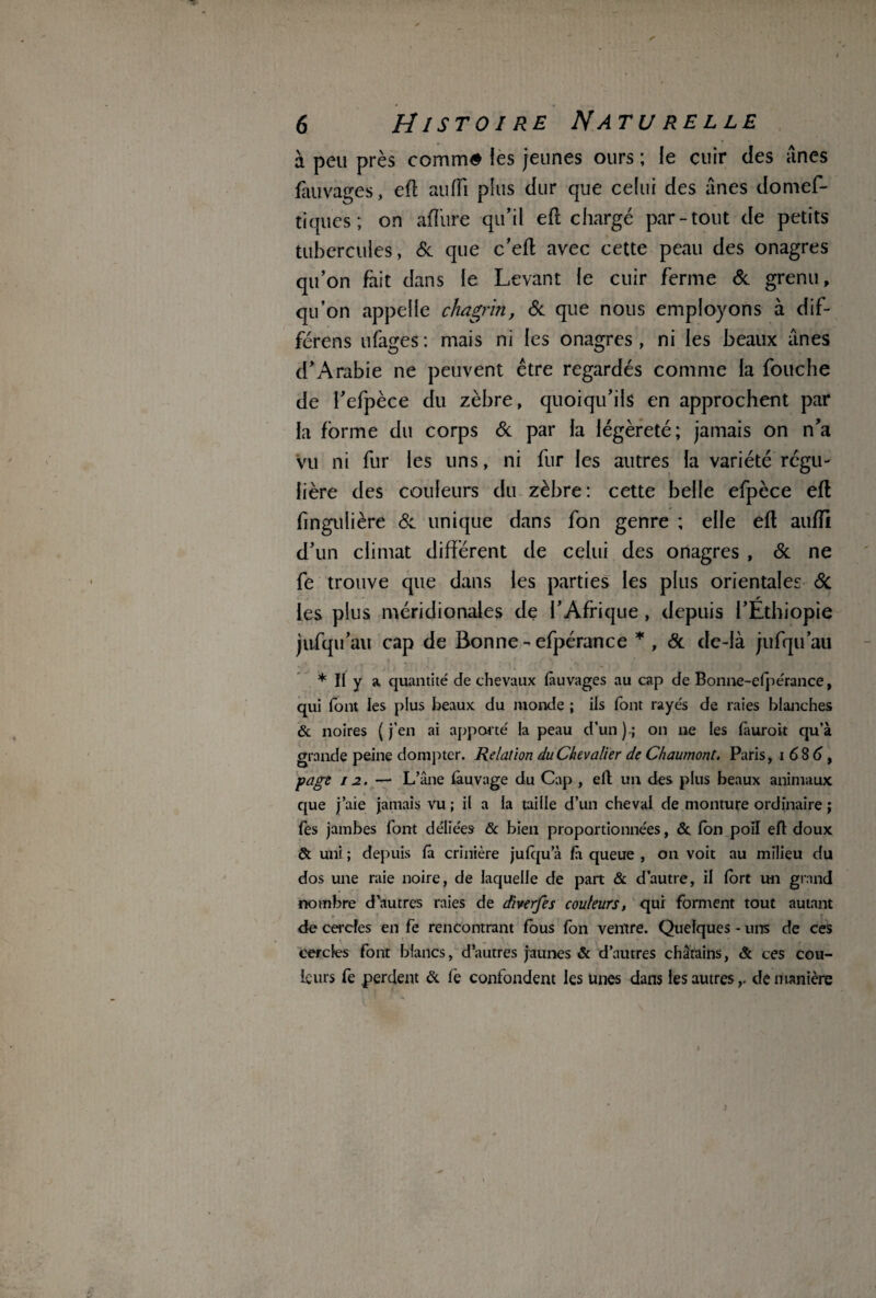 à peu près comm# les jeunes ours ; le cuir des unes fauvages, eft aufïi plus dur que celui des ânes tlomef- tiques ; on afliire qu’il eft chargé par-tout de petits tubercules, 6c que c’eft avec cette peau des onagres qu’on fait dans le Levant le cuir ferme 6c grenu, qu’on appelle chagrin, 6c que nous employons à dif- férens ufages: mais ni les onagres, ni les beaux ânes d’Arabie ne peuvent être regardés comme la Touche de l’efpèce du zèbre, quoiqu’ils en approchent par la forme du corps 6c par la légèreté; jamais on n’a vu ni fur les uns, ni fur les autres la variété régu¬ lière des couleurs du zèbre: cette belle efpèce eft fingulière 6c unique dans fon genre ; elle eft auftl d’un climat different de celui des onagres , 6c ne fe trouve que dans les parties les plus orientales 6c f les plus méridionales de l’Afrique, depuis l’Ethiopie jufqu’au cap de Bonne - efpérance * , 6c de-là jufqu’au * II y a, quantité de chevaux fâuvages au cap de Bonne-efpérance, qui font les plus beaux du inonde ; ils font rayés de raies blanches & noires (j'en ai apporté la peau d’un).; on ne les fiuroit qu’à grande peine dompter. Relation du Chevalier de Chaumont. Paris, i 68 6, page 12. — L’âne fauvage du Cap , eft un des plus beaux animaux que j’aie jamais vu ; il a la taille d’un cheval de monture ordinaire ; fes jambes font déliées & bien proportionnées, & fon poil eft doux & uni ; depuis fi crinière julqu’à fi queue , on voit au milieu du dos une raie noire, de laquelle de part & d’autre, il fort un grand nombre d’autres raies de diverfes couleurs, qui forment tout autant de cercles en fe rencontrant fous fon ventre. Quelques - uns de ces cercles font blancs, d’autres jaunes & d’autres châtains, & ces cou¬ leurs fe .perdent & le confondent les unes dans les autres,, de manière 1 i