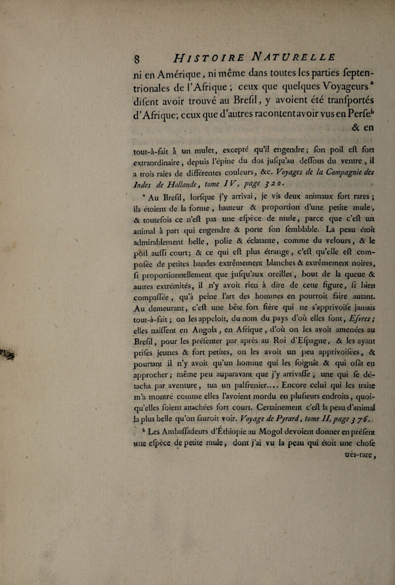 ni en Amérique, ni même dans toutes les parties fepten- trionaies de T Afrique ; ceux que quelques Voyageurs4 difent avoir trouvé au Brefil, y avoient été tranfportés d’Afrique; ceux que d’autres racontent avoir vus en Perfeb & en tout-à-fait à un mulet, excepté qu’il engendre; Ton poil eft fort extraordinaire, depuis l’épine du dos jufqu au deflbus du ventre , il a trois raies de différentes couleurs, &c. Voyages de la Compagnie des Indes de Hollande, tome 1 V, page y 2 o. * Au Brefil, lorfque j’y arrivai, je vis deux animaux fort rares; ils étoient de la forme , hauteur & proportion d’une petite mule, & toutefois ce n’eft pas une efpèce de mule, parce que c’eft un animal à part qui engendre & porte fon femblable. La peau étoit admirablement belle, polie & éclatante, comme du velours, & le poil auffr court ; & ce qui eft plus étrange, c’eft qu’elle eft coin- pofée de petites bandes extrêmement blanches & extrêmement noires, fi proportionnellement que jufqu’aux oreilles , bout de la queue & autres extrémités, il n’y avoit rien à dire de cette figure, fi bien compaffée , qu’à peine l’art des hommes en pourroit faire autant. Au demeurant, c’eft une bête fort fière qui ne s’apprivoife jamais tout-à-fait; on lesappeloit, du nom du pays d’où elles font, Efvres ; elles naiffent en Angola, en Afrique , d’où on les avoit amenées au Brefil, pour les préfenter par après au Roi d'Efpagne, & les ayant prifes jeunes & fort petites, on les avoit un peu apprivoises., & pourtant il n’y avoit qu’un homme qui les fbignât & qui ofat en approcher ; même peu auparavant que j’y arrivaflè , une qui Ce dé¬ tacha par aventure, tua un paifrenier.... Encore celui qui les traite m’a montré comme elles I’avoient mordu en plufieurs endroits, quoi¬ qu’elles foient attachées fort court. Certainement c’eft la peau d’animal la plus belle qu’on fàuroit voir. Voyage de Pyrard, tome II, page y y 6. b Les Ambaffadeurs d’Éthiopie au Mogol dévoient donner en préfent une efpèce de petite mule, dont j’ai vu la peau qui étoit une chote très-rare,