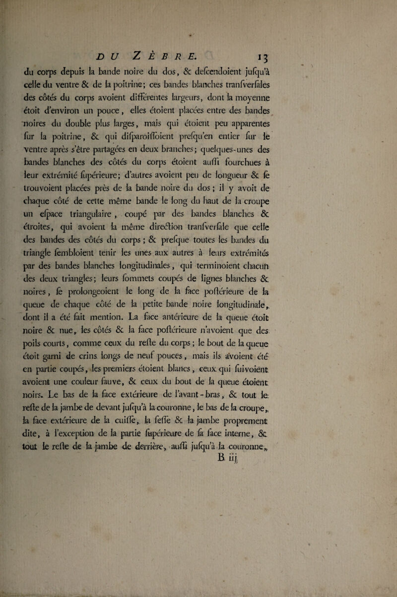 du corps depuis la bande noire du dos, 8c defcendoient jufqu a celle du ventre & de la poitrine; ces bandes blanches tran(verlaies des côtés du corps avoient différentes largeurs, dont la moyenne étoit d’environ un pouce, elles étoient placées entre des bandes noires du double plus larges, mais qui étoient peu apparentes fur la poitrine, &. qui difparoifîoient prefqu’en entier fur le ventre après s’être partagées en deux branches; quelques-unes des bandes blanches des côtés du corps étoient auffi fourchues à leur extrémité fupérieure; d’autres avoient peu de longueur 8c le trouvoient placées près de la bande noire du dos ; il y avoit de chaque côté de cette même bande le long du haut de la croupe un efpace triangulaire , coupé par des bandes blanches & étroites, qui avoient la même direélion tranfverfde que celle des bandes des côtés du corps ; & prefque toutes les bandes du triangle fembîoient tenir les unes aux autres à leurs extrémités par des bandes blanches longitudinales, qui tenninoient chacun des deux triangles; leurs fommets coupés de lignes blanches 8c noires, fe prolongeoient le long de la face poftérieure de la queue de chaque côté de la petite bande noire longitudinale,, dont il a été fait mention. La face antérieure de la queue étoit noire 8c nue,, les côtés 8c la face poftérieure n’a voient que des. poils courts, comme ceux du refte du corps ; le bout de la queue étoit garni de crins longs de neuf pouces, mais ils avoient été en partie coupés, les premiers étoient blancs , ceux qui fui voient, avoient une couleur fauve, 8c ceux du bout de la queue étoient noirs» Le bas de la face extérieure de l’avant - bras, 8c tout le. refte de la jambe de devant jufqu a la couronne, le bas de la croupe,, la face extérieure de la cuiffè, la feffe 8c la jambe proprement dite, à l’exception de la partie fupérieure de fâ face interne, & tout le refte de la jambe de derrière, auffi jufqu a la couronne* B iij