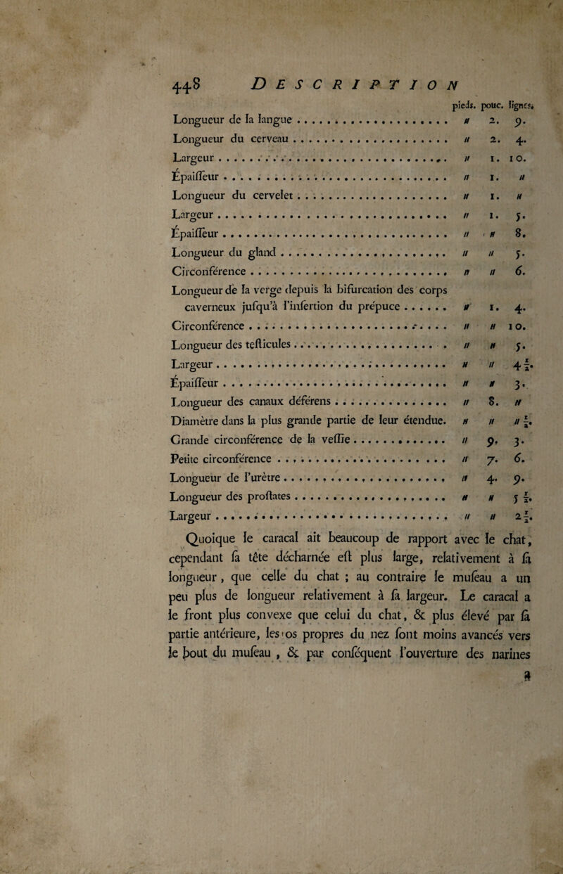 44-8 Description piedî. pouc. figncî* Longueur de la langue.». u 2. 9. Longueur du cerveau. // 2. 4. Largeur...». ir 1. 10. Épaiffèur. n 1. // Longueur du cervelet. // 1. u Largeur. n 1. 5. Épaifîèur. n < n 8. Longueur du gland... u n 5. Circonférence.... n // 6. Longueur de la verge depuis la bifurcation des corps caverneux jufqu’à l’infertion du prépuce. u 1. 4. Circonférence.... // h 10. Longueur des tefticules... . n n j. Largeur.. ;.. h u 4 f. ÉpaiiTeur .. n # 3. Longueur des canaux déférens. n S. tt Diamètre dans la plus grande partie de leur étendue, h h n Grande circonférence de la vefïïe. // 9, 3. Petite circonférence .. n 7. 6. Longueur de l’urètre..................... tt 4. 9. Longueur des proftates. h m j f, Largeur... n u 2\. Quoique le caracal ait beaucoup de rapport avec le chat, cependant fa tête décharnée eft plus large, relativement à là longueur , que celle du chat ; au contraire le mufêau a un peu plus de longueur relativement à là largeur. Le caracal a le front plus convexe que celui du chat, & plus élevé par là partie antérieure, les>os propres du nez font moins avancés vers le tout du mulêau , 6c par conlequent l’ouverture des narines