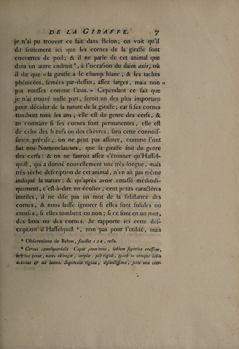 je n'ai pu trouver ce fait clans Belon; on voit qu’il dit feulement ici que les cornes de la giraffè font couvertes de poil; 6c il ne parle de cet animal que dans un autre endroita, à l’occafion du daim axis, où il dit que « la giraffè a le champ blanc , & les taches phénicées, femées par-deffus , aiïez larges , mais non « pis rondes comme Iaxis. >» Cependant ce fait que je n’ai trouve nulle part, feroit un des plus importans pour décider de la nature de la giraffè ; car fi fes cornes tombent tous les ans , elle eft du genre des cerfs, 6c au contraire fi fes cornes font permanentes, elle ell de celui des b eufs ou des chèvres ; fins cette connoif- fànce précife , on ne peut pas affurer, comme l’ont fait nos Nomendateurs , que la giraffè foit du genre des cerfs : 6c on ne fauroit affez s’étonner qu’Haffel'- qiiid , qui a donné nouvellement une très-longue, mais très-sèche defeription de cet animal, n’en ait pas meme indiqué la nature ; 6c qu’après avoir entaffé méthodi¬ quement, c’eft-à-dire en écolier , cent petits caractères inutiles, il ne dife pas un mot de la fubftance des cornes, 6c nous laiffe ignorer fi elles font folides ou creufts , fi elles tombent ou non ; fi ce font en un mot , des bois ou des cornes. Je rapporte ici cette des¬ cription d’Haffelqmft h> non pas pour l’utilité, mais h Obfervations de Belon , feuillet 120, reâo. 1 Cervus camelopardalis Caput prom'nens , labium fuperius craffum, fabius tenue, narej oblongœ , amplœ . pili rigidi, Jparfi in vtrucjue labio antinus & ad latent. Sujurcuia rigida » dijliiidijjima, Jerie ma com-