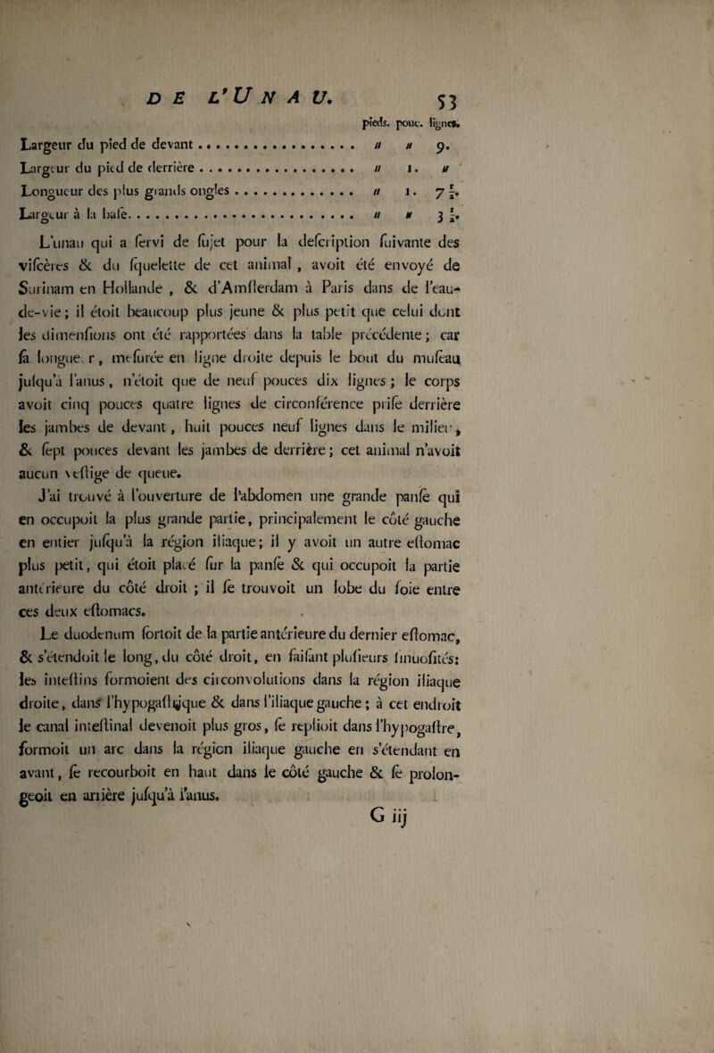 S3 pieds, pouc. iiyne». Largeur du pied de devant. n h 9. Largeur du pied de derrière. // 1. u Longueur des ptus grands ongles. n 1. 7 Largeur à la baie. // h 3 L’unau qui a fervi de fûjet pour la defeription fui vante des vifeères 3c du fquelette de cet animal , avoit été envoyé de Surinam en Hollande , 3c d’Amfferdam à Paris dans de l’eau- de-vie; il étoit beaucoup plus jeune & plus petit cjue celui dont les dimenfions ont été rapportées clans la table précédente; car fâ longue, r, mefùrée en ligne droite depuis le bout du mu (eau jufqu a 1 anus, n’étoit que de neuf pouces dix lignes ; le corps avoit cinq pouces quatre lignes de circonférence prife derrière les jambes de devant, huit pouces neuf lignes dans le milieu, & fêpt pouces devant les jambes de derrière ; cet animal n’avoit aucun veffige de queue. J’ai trouvé à l’ouverture de l’abdomen une grande panfe qui en occupoit la plus grande partie, principalement le coté gauche en entier jufqu a la région iliaque; il y avoit un autre effomac plus petit, qui étoit placé fur la panfè 3c qui occupoit la partie anterieure du côté droit ; il fe trou voit un lobe du foie entre ces deux eüomacs. Le duodénum fortoit de la partie antérieure du dernier effomac, 6c s’étendoit le long, du côté droit, en failant plufieurs finuofités: les inteffins formoient des circonvolutions dans la région iliaque droite, dans l’hypogafftÿque 3c dans l’iliaque gauche ; à cet endroit le canal inteflinal devenoit plus gros, fe replioit dans l’hypogaftre formoit un arc dans la région iliaque gauche en s’étendant en avant, fè recourboît en haut dans le côté gauche 3c fè proion- geoit en ariière jufqu’à i anus. I