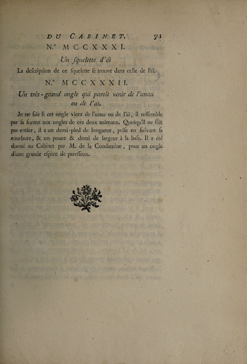 du Cabinet. N.° M C C X X X I. 71 Un fqudette cTrii La defcription de ce fquelette fe trouve dans celle de l'aï. N.° MCCXXXIL Un très - grand ongle qui paroi t venir de F unau ou de l’au Je ne lais fi cet ongle vient de l’unau ou de 1 aï, il reflemble par la forme aux ongles de ces deux animaux. Quoiqu’il ne (bit pas entier, il a un demi-pied de longueur, prife en fui vaut fa courbure, & un pouce & demi de largeur à la bafe. 11 a été donné au Cabinet par M. de la Condamine , pour un onglg- d’une grande elpèce de parefîëux. 0