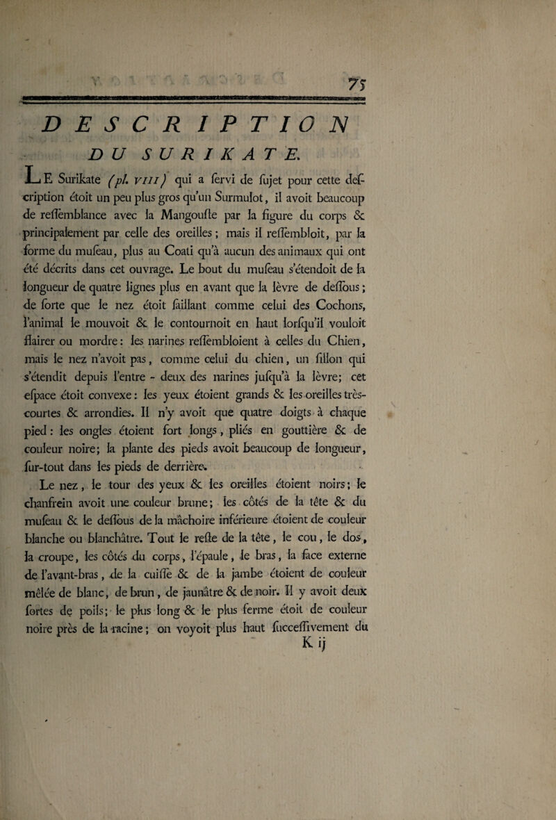 y ». v/ - V D E S C R I P T I O N DU SU R I K AT E. E Surikate (pl vm ) qui a fèrvi Je fujet pour cette des¬ cription étoit un peu plus gros qu’un Surmulot, il avoit beaucoup de reffèmblance avec la Mangoufte par la figure du corps 8e principalement par celle des oreilles; mais il reflèmbloit, par la forme du mufèau, plus au Coati qua aucun des animaux qui ont été décrits dans cet ouvrage. Le bout du mu (eau setendoit de la longueur de quatre lignes plus en avant que la lèvre de deffous ; de forte que le nez étoit fàillant comme celui des Cochons, l’animal le mouvoit 8c le contournoit en haut lorfqu’il vouloit flairer ou mordre : les narines refîèmbloient à celles du Chien, maïs le nez n’a voit pas, comme celui du chien, un fillon qui s’étendit depuis l’entre - deux des narines jufqu’à la lèvre; cet efpace étoit convexe : les yeux étoient grands 8c les oreilles très- courtes & arrondies. II n’y avoit que quatre doigts à chaque pied : les ongles étoient fort longs , pliés en gouttière 8c de couleur noire; la plante des pieds avoit beaucoup de longueur, fur-tout dans les pieds de derrière. Le nez, le tour des yeux 8c les oreilles étoient noirs ; le chanfrein avoit une couleur brune ; les côtés de la tête 8c du mufèau 8c le deffous de la mâchoire inférieure étoient de couleur blanche ou blanchâtre. Tout le refie de la tête, le cou, le dos, la croupe, les côtés du corps, l’épaule, le bras, la face externe de l’avant-bras, de la cuiffe 8c de la jambe étoient de couleur mêlée de blanc, de brun , de jaunâtre 8c de noir. Il y avoit deux fortes de poils; le plus long 8c le plus ferme étoit de couleur noire près de la racine; on voyoit plus haut foccefîivement du