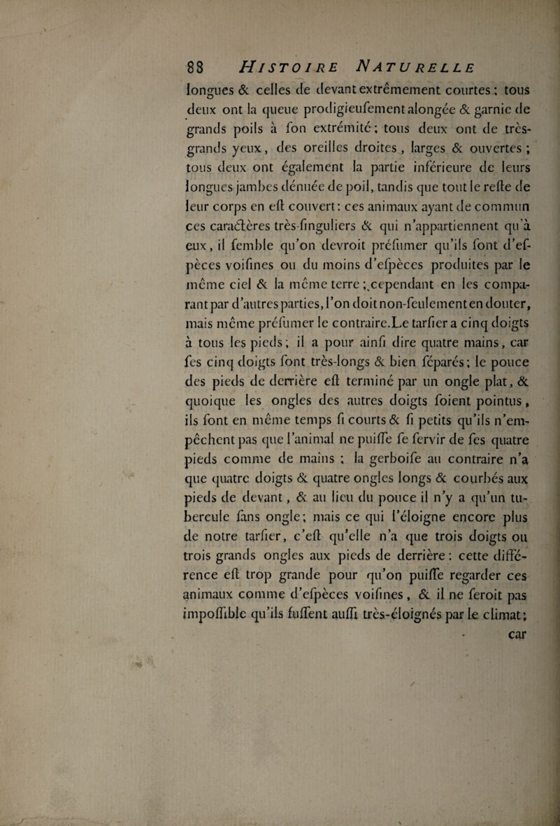 longues & celles de devant extrêmement courtes : tous deux ont la queue prodigieufementalongée & garnie de grands poils à fon extrémité ; tous deux ont de très- grands yeux, des oreilles droites , larges & ouvertes ; tous deux ont également la partie inférieure de leurs longues jambes dénuée de poil, tandis que tout le relie de leur corps en efl couvert: ces animaux ayant de commun ces caradères très-finguliers Si qui n’appartiennent qu'à eux, il femble qu’on devroit préfumer qu’ils font d’ef- pèces voifines ou du moins d’efpèces produites par le même ciel Si la même terre ^cependant en les compa- rantpar d’autres parties, l’on doit non-feulementen douter, mais même préfumer le contraire.Le tarfiera cinq doigts à tous les pieds; il a pour ainfi dire quatre mains, car fes cinq doigts font très-longs Si bien féparés; le pouce des pieds de derrière efl terminé par un ongle plat. Si quoique les ongles des autres doigts foient pointus, ils font en même temps fi courts Si fi petits qu’ils n’em¬ pêchent pas que l’animal ne puiffe fe fervir de fes quatre pieds comme de mains ; la gerboife au contraire n’a que quatre doigts Si quatre ongles longs Si courbés aux pieds de devant, Si au lieu du pouce il n’y a qu’un tu¬ bercule fans ongle; mais ce qui l’éloigne encore plus de notre tarder, c’efi qu’elle n’a que trois doigts ou trois grands ongles aux pieds de derrière : cette diffé¬ rence efl trop grande pour qu’on puiffe regarder ces animaux comme d’efpèces voilures, Si il ne feroit pas impoffibie qu’ils fulfent aufft très-éloignés par Le climat;