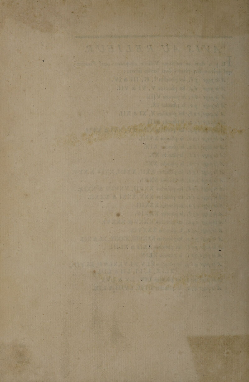 ■ ' % ? A ' ;* ■ y.'* • r <1 v — /