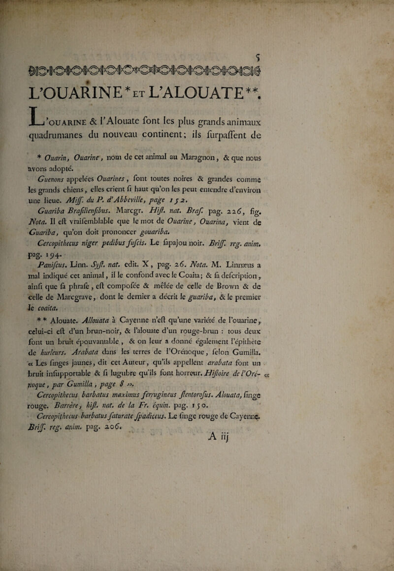 L’OUARINE*et L’A LOUAT E**. X-j’ouarine & l'Alouate font les plus grands animaux quadrumanes du nouveau continent; ils furpafîent de * Ouarin, Ouarine, nom de cet animal au Maragnon, & que nous avons adopté. Guenons appelées Ouarine s, font toutes noires & grandes comme les grands chiens, elles crient fi haut qu’on les peut entendre d’environ une lieue. Mijf. du P. d’Abbeville, page 1 p 2. Guariba Brafilienfibus. Marcgr. Hijl. nat. Braf. pag. 226, fig. JSota. II eft vraifemblable que le mot de Ouarine, Ouarina, vient de Guariba, qu’on doit prononcer gouariba. Cercopithecus niger pedibus fufcis. Le fàpajou noir. Brijf. reg. anirn, pag. 194. Panifcus. Linn. Syjl. nat. edit. X, pag. 26. Nota. M. Linnæus a mal indiqué cet animal, il le confond avec le Coaita; & là defcription, ainfi que fa phrafe , eft compofée & mêlée de celle de Brown & de celle de Marcgrave, dont le dernier a décrit le guariba, & le premier le coaita. ** Alouate. Allouata à Cayenne n’eft qu’une variété de I’ouarine, celui-ci eft d’un brun-noir, & l’aîouate d’un rouge-brun : tous deux font un bruit épouvantable , & on leur a donné également l’épithète de hurleurs. Arabata dans les terres de i’Ore'noque, félon Gumiila. « Les finges jaunes, dit cet Auteur, qu’ils appellent arabata font un bruit infùpportable & fi lugubre qu'ils font horreur. Hijîoire de l’Oré- c« no que, par Gumiila , page 8 ». Cercopithecus barbatus maximus ferrugineus Jlentorofus. Alouata, linge rouge. B arrête, hijl. nat. de la Fr. équin, pag. 150. Cercopithecus barbatus faturate Jpadiccus. Le linge rouge de Cayenne. Brijf. reg. anim, pag. 206.
