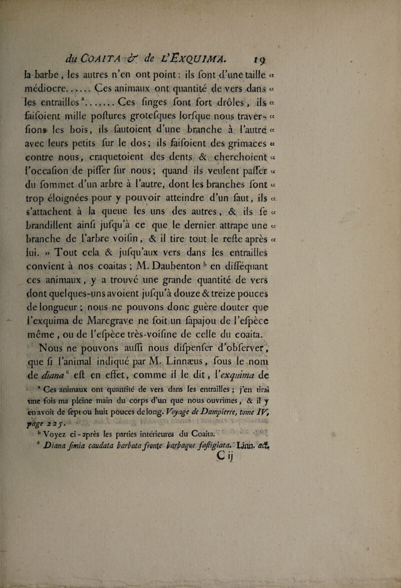 la barbe , les autres n’en ont point : ils font cl’une taille « médiocre.Ces animaux ont quantité de vers dans « les entraillesa.Ces finges font fort drôles, ils « fàifoient mille pofîures grotefques lorfque nous travers « fions les bois, ils fautoient d’une branche à l’autre « avec leurs petits fur le dos; ils fàifoient des grimaces « contre nous, craquetoient des dents 6c cherchoient « l’occafion de piller fur nous; quand ils veulent paffer « du fommet d’un arbre à l’autre, dont les branches font « trop éloignées pour y pouvoir atteindre d’un faut, ils « s’attachent à la queue les uns des autres, 6c ils fe « brandillent ainfi jufqu’à ce que le dernier attrape une « branche de l’arbre voifin, 6c il tire tout le refte après « lui. » Tout cela 6c jufqu’aux vers dans les entrailles convient à nos coaitas ; M. Daubenton b en difféquant ces animaux, y a trouvé une grande quantité de vers dont quelques-uns avoient jufqu’à douze 6c treize pouces de longueur ; nous ne pouvons donc guère douter que l’exquima de Marcgrave ne foit un fàpajou de l’efpècc même , ou de l’efpèce très-voifine de celle du eoaita. Nous ne pouvons aulîi nous difpenfer d’obferver, que fi l’animal indiqué par M. Linnæus, fous le nom de dianac eft en effet, comme il le dit, Yexqitima de 1 Ces animaux ont quantité de vers dans les entrailles ; j’en tirai une fois ma pleine main du corps d’un que nous ouvrîmes, & il y en avoit de fept ou huit pouces de long. Voyage de Dampierre, tome IV, page 22y. b Voyez ci - après les parties intérieures du Coaita. c Diana fmia caudata b arbat a frente barbaque fajllgiata. Ljrui. C ij