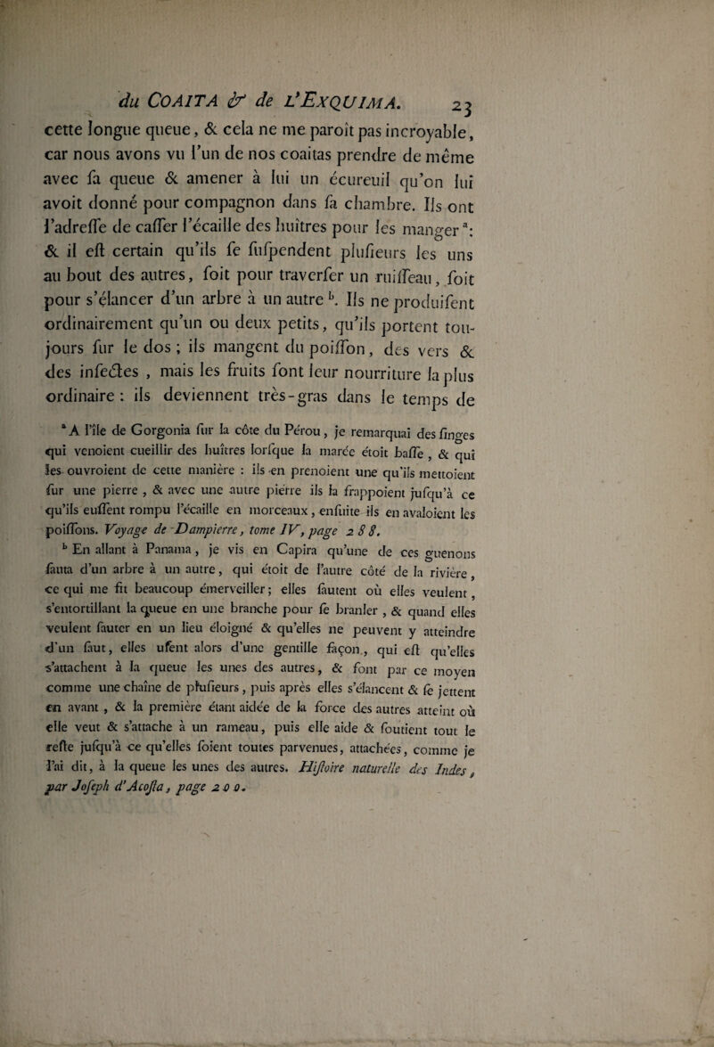 cette longue queue, & cela ne me paroit pas incroyable, car nous avons vu l’un de nos coaitas prendre de meme avec fa queue & amener à lui un écureuil qu’on lui avoit donné pour compagnon dans fa chambre. Ils ont l’adreffe de caffer l'écaille des huîtres pour les manger3: & il eft certain qu’ils fe fufpendent plufieurs les uns au bout des autres, foit pour traverfer un •ruifleau, foit pour s’élancer d’un arbre à un autre h. Ils ne produifent ordinairement qu’un ou deux petits, qu’ils portent tou¬ jours fur le dos ; ils mangent du poiffon, des vers & des infeétes , mais les fruits font leur nourriture lapins ordinaire: ils deviennent très-gras dans le temps de aA Hle de Gorgonia fur la côte du Pérou, je remarquai desfinges qui vcnoient cueillir des huîtres Iorfque la marée étoit baffe , & qui les ouvraient de cette manière : ils -en prenoient une qu’ils mettoient fur une pierre , & avec une autre pierre ils fa frappoient jufqu’à ce qu’ils eulfent rompu l’écaiüe en morceaux, enfuite ils en avaloient les poiffons. Voyage de D ampierre, tome IV, page 288. b En allant à Panama , je vis en Capira qu’une de ces guenons fauta d’un arbre à un autre, qui étoit de l’autre coté de la rivière , ce qui me Et beaucoup émerveiller ; elles fautent où elfes veulent, s’entortillant la queue en une branche pour fê branler , & quand elles veulent fauter en un lieu éloigné & qu’elles 11e peuvent y atteindre d’un faut, elfes ufent alors d’une gentille façon, qui eft quelles ■s’attachent à la queue fes unes des autres, & font par ce moyen comme une chaîne de pfufieurs , puis après elfes s’élancent & fè jettent en avant , & La première étant aidée de la force des autres atteint où elle veut & s’attache à un rameau, puis elle aide & foutient tout fe refte jufqua ce quelles foient toutes parvenues, attachées, comme je l’ai dit, à la queue les unes des autres. Hiftoire naturelle des Indes par Jofeph d’AcoJla, page 2 o o.