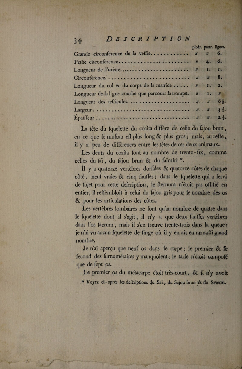 \ pieds, pouc. lignes. Grande circonférence de la vefïîe. .. ti u 6. Petite circonférence.. u 4.. 6. Longueur de Purètre. // 1. 1. O Circonférence. u u 8. Longueur du col & du corps de la matrice. n 1. 2. Longueur de la ligne courbe que parcourt la trompe. n 1. n Longueur des teflicules.. 4/ n 6 b Largeur. 11 n 3 b Épaiffeur. n » ap La tête du fquelette du coaita diffère de celle du fàjou brtm, en ce que le mufeau efl plus long & plus gros ; mais, au re'fte, il y a peu de différences entre les têtes de ces deux animaux. Les dents du coaita font au nombre de trente-fix, comme celles du fàï , du fàjou brun & du faïmiri *. Il y a quatorze vertèbres dorfales & quatorze côtes de chaque côté, neuf vraies & cinq fauflès ; dans le fquelette qui a lervi de fujet pour cette defeription, le fier nu m n etoit pas offifié en entier, il reffembloit à celui du fàjou gris pour le nombre des os & pour les articulations des côtes. Les vertèbres lombaires ne font qu’au nombre de quatre dans le fquelette dont il s’agit, il n’y a que deux faillies vertèbres dans l’os fàcrum, mais il s’en trouve trente-trois dans la queue: je n’ai vu aucun fquelette de finge où il y en ait eu un auffi grand nombre. Je n’ai aperçu que neuf os dans le carpe ; le premier 8c le fécond des furnuméraires y manquoient ; le tarie n etoit compofë que de fept os. Le premier os du métacarpe etoit très-court, & il n’y a voit * Voyez ci-après les deferiptions cju Saï ; du Sajou brun & du Safoairi.