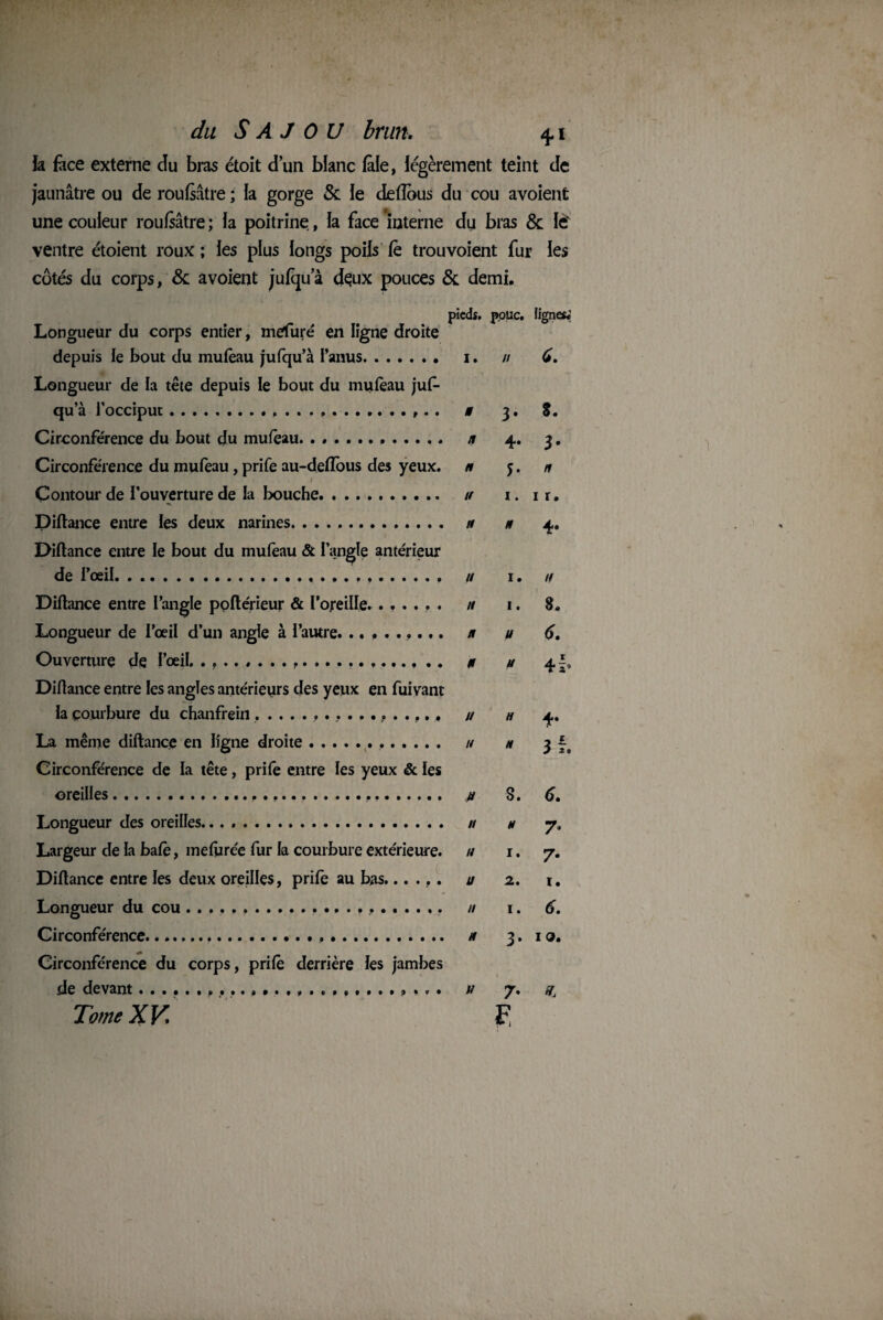 la face externe du bras étoit d’un bfanc fàle, légèrement teint de jaunâtre ou de roufsâtre ; la gorge & le de (Tous du cou avoient une couleur roufsâtre; fa poitrine, la face interne du bras & le' ventre étoient roux ; les plus longs poils fè trou voient fur ies côtés du corps, & avoient jufqua deux pouces & demi. pieds, polie. lignes. Longueur du corps entier, mefuré en ligne droite depuis le bout du mufèau jufqu’à l’anus.. i. // (à. Longueur de la tête depuis le bout du mufèau juf¬ qu’à l’occiput..... . i 3. S. Circonférence du bout du mufèau. . .. n 4. 3. Circonférence du mufeau, prife au-defïous des yeux, n j. n l Contour de l’ouverture de la bouche. u 1. 1 r. Diftance entre les deux narines. n n 4. Diftance entre le bout du mufèau & l’angle antérieur de l’œil. .. // 1. n Diftance entre l’angle poftérieur & l’oreille....... // 1. 8. Longueur de l’œil d’un angle à l’autre. ......... n u 6. Ouverture de l’œil..,... 0 u 4I» Diftance entre les angles antérieurs des yeux en fuivant la courbure du chanfrein// h 4. La même diftance en ligne droite. u u 3 f# Circonférence de la tête, prife entre les yeux & les oreilles. u 8. 6. Longueur des oreilles... n u 7, Largeur de la bafè, mefurée fur la courbure extérieure, u 1. 7. Diftance entre les deux oreilles, prife au bas...... u 2. 1. Longueur du cou ......... // 1. 6. Circonférence..... .. 0 3. 10. Circonférence du corps, prife derrière les jambes de devant...»... v 7. nÂ Tome XV fl