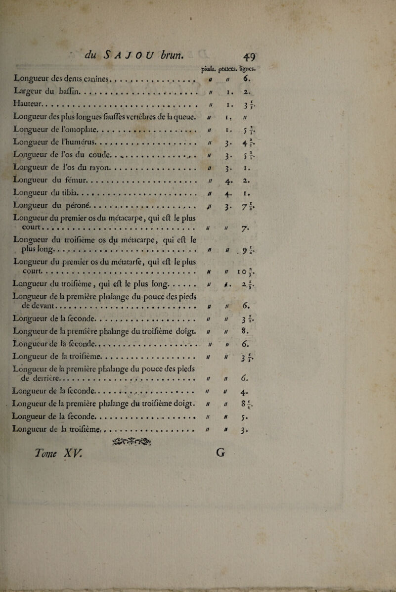 du Sajou brun. Longueur des dents canines., Largeur du baffin... Hauteur. Longueur des plus longues fàufles vertèbres de la queue. Longueur de l’omoplate. Longueur de l’humérus. .. Longueur de i’os du coude. . .... Longueur de l’os du rayon. Longueur du fémur. Longueur du tibia. Longueur du péroné. Longueur du premier os du métacarpe, qui eft le plus court... Longueur du troifième os du métacarpe, qui eft le plus long... Longueur du premier os du métatarfè, qui eft le plus court... Longueur du troifième, qui eft le plus long. Longueur de fa première phalange du pouce des pieds de devant. Longueur de la fécondé.. Longueur de la première phalange du troifième doigt. Longueur de la féconde... Longueur de la troifième. Longueur de la première phalange du pouce des pieds de derrière... Longueur de la fécondé.. .... Longueur de la première phalange du troifième doigt. Longueur de la fécondé. Longueur de la troifième»... 49 pieds, pouces, lignes. u // 6. Il I •  1 • 3 f • u i, n u i, 5 T*  L 4 b  3 • 5 7* u 3. i. Il 2» // 4. I» i> 3- 7b u n 7. u u . 9 b H // I O y, u ü. 2. y. u u 6. // // 3f. n n §. u n 6. u ,1 3 f. n n 6. n u 4. // n 8 f. u h y. n a 3, Tome XK gX&r*3» G