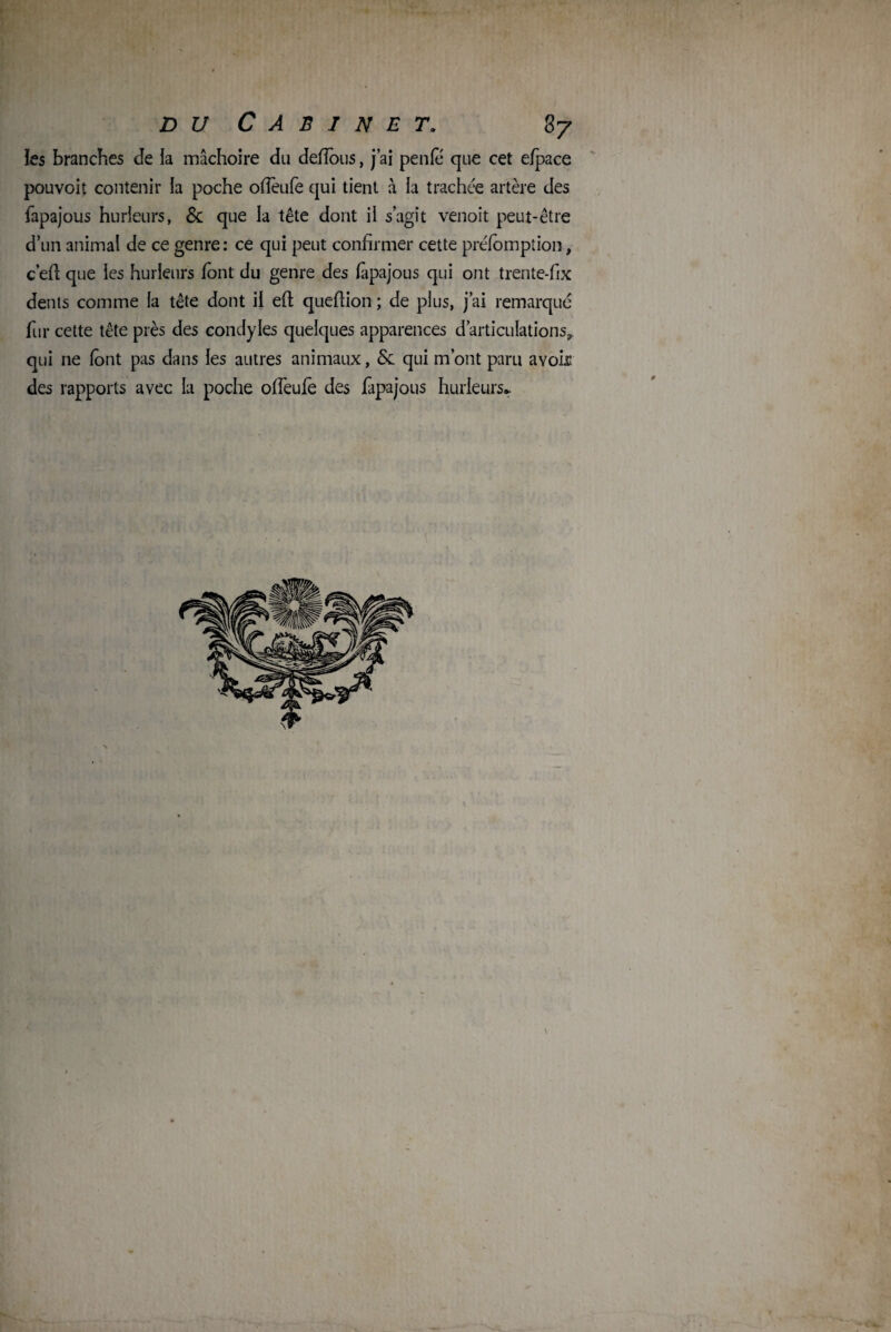 ïes branches Je la mâchoire du defîous, j’ai penfe que cet e/pace pouvoit contenir la poche ofièufe qui tient à la trachée artère des fapajous hurleurs, 6c que la tête dont il s’agit venoit peut-être d’un animal de ce genre: ce qui peut confirmer cette préemption, c’eft que les hurleurs font du genre des fapajous qui ont trente-fix dents comme la tête dont il efi: queftion ; de plus, j’ai remarqué fur cette tête près des condyles quelques apparences d’articulations, qui ne font pas dans les autres animaux, 6c qui m’ont paru avoir des rapports avec la poche ofieufe des fapajous hurleurs- v