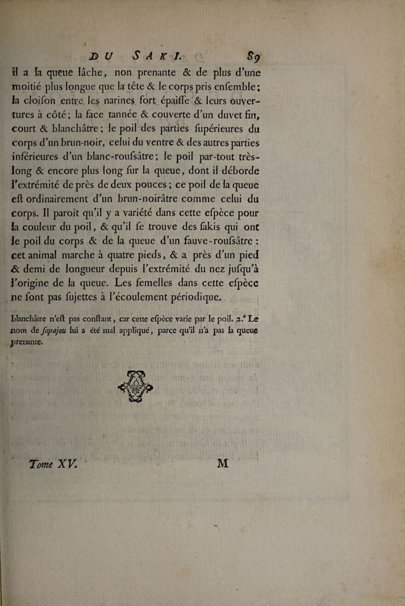 îi a ta queue tâche, non prenante 5c de plus d'une moitié plus longue que la tête 5c le corps pris enfemble; Ja cloifon entre les narines fort épaiffe 5c leurs ouver¬ tures à côté; la face tannée 5c couverte d’un duvet fin, court 5c blanchâtre ; le poil des parties fupérieures du corps d’un brun-noir, celui du ventre 5c des autres parties inférieures d’un blanc-roufsâtre ; le poil par-tout très- long 5c encore plus long fur la queue, dont il déborde l’extrémité de près de deux pouces ; ce poil de la queue efi ordinairement d’un brun-noirâtre comme celui du corps. II paroît qu’il y a variété dans cette efpèce pour la couleur du poil, 5c qu’il fe trouve des fàkis qui ont le poil du corps 5c de la queue d’un fauve-roufsâtre : cet animal marche à quatre pieds, 5c a près d’un pied & demi de longueur depuis l’extrémité du nez jufqu’à l’origine de la queue. Les femelles dans cette efpèce ne font pas fujettes à l’écoulement périodique, blanchâtre n’efl pas confiant, car cette efpèce varie par le poil. 2..° Le nom de fapajou lui a été mal appliqué, parce qu’il n’a pas la queue ^prenante. Tome XV. M