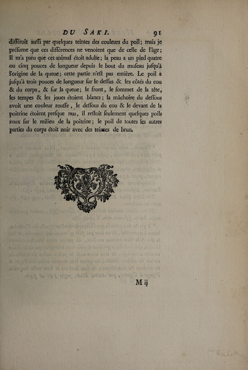 différoît àuffi par quelques teintes des couleurs du poil*, mais je préfume que ces différences ne venoient que de celle de I âge ; îl m’a paru que cet animal étoit adulte ; la peau a un pied quatre ou cinq pouces de longueur depuis ie bout du mufèau jufqua l’origine de la queue; cette partie n’eft pas entière. Le poil a jufqu a trois pouces de longueur fur le deffus & les côtés du cou & du corps, & fur la queue ; le front, le fommet de la tête, les tempes & les joues étoient blancs ; la mâchoire du defîous V;; avoit une couleur rouffe , le defîous du cou & le devant de la poitrine étoient prefque nus, il reftoit feulement quelques poils roux fur le milieu de la poitrine; ie poil de toutes les autres parties du corps étoit noir avec des teintes de brun. /