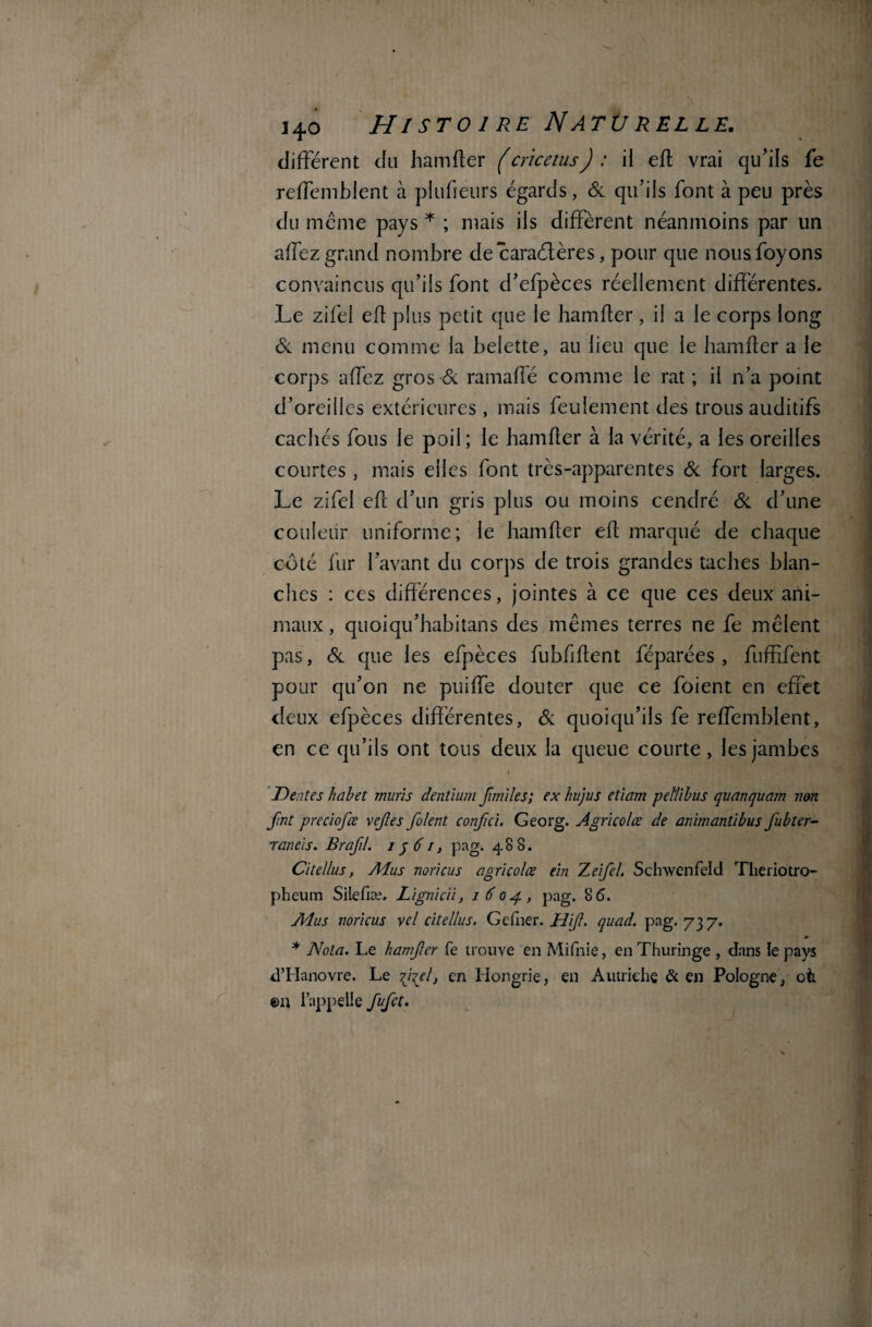 différent du hamfter (cricetus) : ii eft vrai qu’ils fe reffembient à piiffieurs égards, 6c qu’ils font à peu près du meme pays * ; mais ils diffèrent néanmoins par un affez grand nombre de caraétères, pour que nousfoyons convaincus qu’ils font d’efpèces réellement différentes. Le zifel efl plus petit que le hamfter, il a le corps long ôc menu comme la belette, au lieu que le hamfter a le corps affez gros 6c ramafîé comme le rat ; il n’a point d’oreilles extérieures , mais feulement des trous auditifs cachés fous le poil; le hamfter à la vérité, a les oreilles courtes , mais elles font très-apparentes 6c fort larges. Le zifel eft d’un gris plus ou moins cendré 6c d’une couleur uniforme; le hamfter eft marqué de chaque côté fur l’avant du corps de trois grandes taches blan¬ ches : ces différences, jointes à ce que ces deux ani¬ maux , quoiqu’habitans des mêmes terres ne fe mêlent pas, 6c que les efpèces fubfftent féparées , fuffifent pour qu’on ne puiffe douter que ce foient en effet deux efpèces différentes, 6c quoiqu’ils fe reffembient, en ce qu’ils ont tous deux la queue courte, les jambes Dettes habet mûris dentium fimiles; ex hujus etiam pellibus quanquam non fint preciofœ vejles foient confci. Georg. Agricolœ de animanlibus fubter- raneis. Brafil. i q 61, pag. 488. Cuellus, Mus noricus agricolœ ein Zeifel. Schwenfeld Theriotro- pheum Silefiæ. Lignicii, 1604, pag. 86. Adu s noricus vel citellus. GcTner. U if. quad. pag* 73 7* m * Nota. Le hamfer fe trouve en Mifnie, en Thuringe , dans le pays d’Hanovre. Le fi^el, en Hongrie, en Autriche & en Pologne, oit ©n l’appelle fufet.