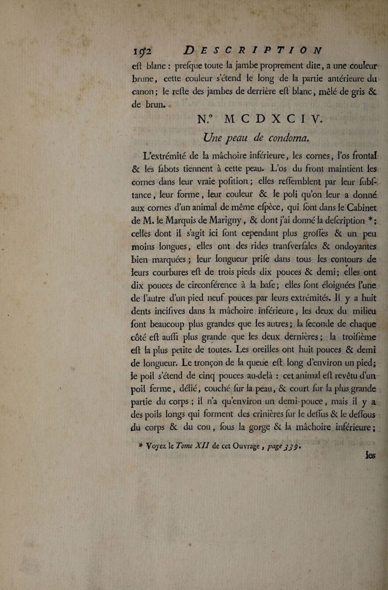 eft blanc : prefque toute la jambe proprement dite, a une couleur brune, cette couleur s’étend le long de la partie antérieure du canon ; le relie des jambes de derrière efl blanc, mêlé de gris Ôc de brun. N.° M C D X C I y. Une peau de condoma. L’extrémité de la mâchoire inférieure, les cornes, l’os frontal & les lâbots tiennent à cette peau. Los du front maintient les cornes dans leur vraie pofition ; elles relîèmblent par leur fubf tance, leur forme, leur couleur & le poli qu’on leur a donné aux cornes d’un animal de même elpèce, qui font dans le Cabinet de M. le Marquis de Marigny, & dont j’ai donné la defcription *; celles dont il s’agit ici font cependant plus groftès & un peu moins longues, elles ont des rides tranfverfales & ondoyantes bien marquées ; leur longueur prife dans tous les contours de leurs courbures eft de trois pieds dix pouces & demi ; elles ont dix pouces de circonférence à la bafe; elles font éloignées l’une de l’autre d’un pied neuf pouces par leurs extrémités. 11 y a huit dents incifives dans la mâchoire inférieure, les deux du milieu font beaucoup plus grandes que les autres ; la féconde de chaque côté eft aufti plus grande que les deux dernières ; la troifième eft la plus petite de toutes. Les oreilles ont huit pouces & demi de longueur. Le tronçon de la queue eft long d’environ un pied; le poil s’étend de cinq pouces au-delà : cet animal eft revêtu d’un poil ferme, délié, couché fur la peau, & court fur la plus grande partie du corps ; il n’a qu environ-un demi pouce, mais il y a des poils longs qui forment des crinières fur le deftus & le deftous du corps & du cou, fous la gorge & la mâchoire inférieure ; * Voyez le Tome Xll de cet Ouvrage , page jjy, les