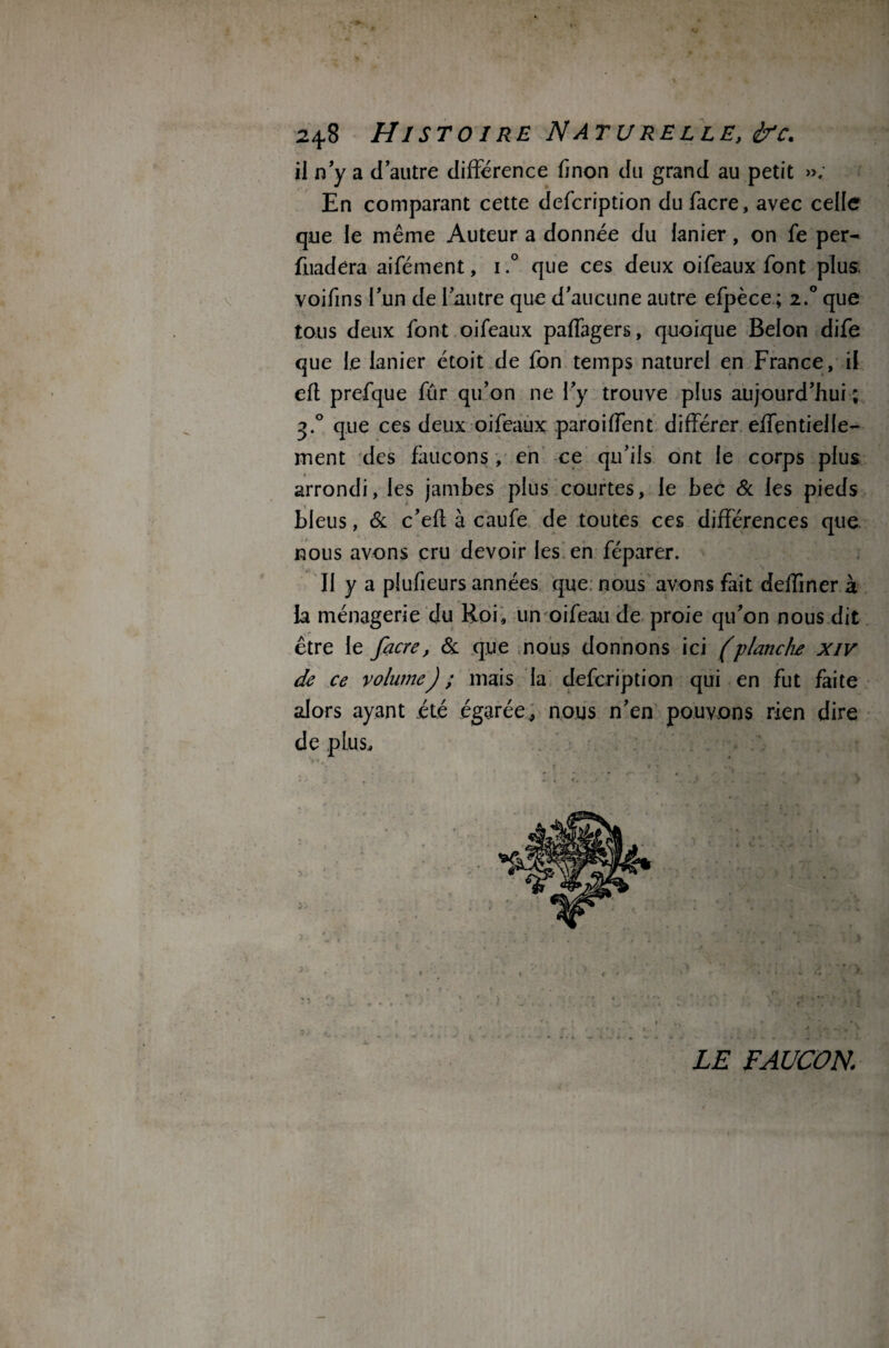 il n’y a d’autre différence finon du grand au petit ». En comparant cette defeription dufacre, avec celle que le même Auteur a donnée du lanier, on fe per- fuadêra aifément, i.° que ces deux oifeaux font plus, voifins l’un de l’autre que d’aucune autre efpèce ; 2.0 que tous deux font oifeaux paffagers, quoique Belon dife que le lanier étoit de fon temps naturel en France, il efl prefque fur qu’on ne l’y trouve plus aujourd’hui ; 3.0 que ces deux oifeaux paroiffent différer effentielle- ment des faucons, en ce qu’ils ont le corps plus arrondi, les jambes plus courtes, le bec 6c les pieds bleus, 6c c’efl à caufe de toutes ces différences que nous avons cru devoir les en féparer. Il y a plufieurs années que nous avons fait delfiner à la ménagerie du Roi, un oifeau de proie qu’on nous dit être le facre, 6c que nous donnons ici (planché xiv de ce volume) ; mais la defeription qui en fut faite alors ayant été égarée,, nous n’en pouvons rien dire de plus. LE FAUCON,;