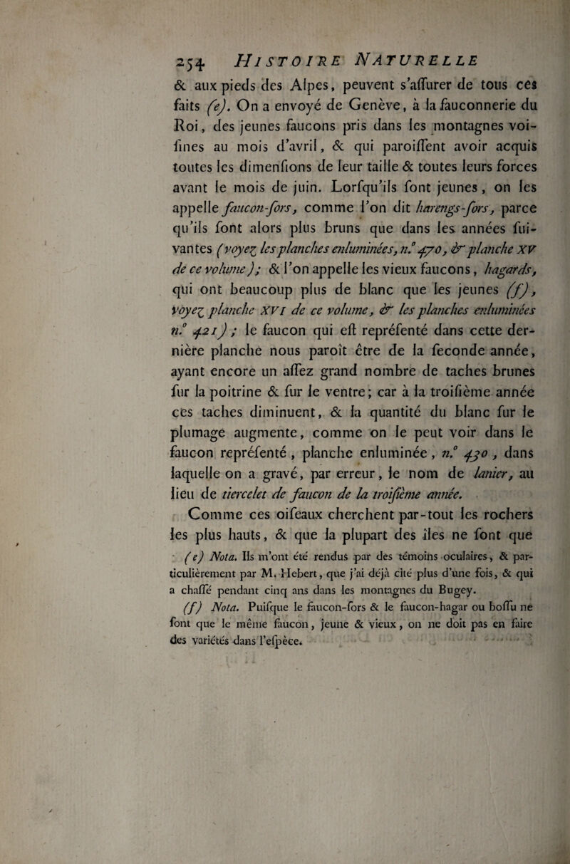 6c aux pieds des Alpes, peuvent s affurer de tous ces faits (e). On a envoyé de Genève, à la fauconnerie du Roi, des jeunes faucons pris dans les montagnes voi- llnes au mois d’avril, & qui paroiffent avoir acquis toutes les dimenfions de leur taille & toutes leurs forces avant le mois de juin. Lorfqu’ils font jeunes , on les appelle faucon -fors, comme l’on dit harengs-fors, parce qu’ils font alors plus bruns que dans les années fui- vantes (voyeg les planches enluminées, n.° p/o, planche XV de ce volume); 6c l’on appelle les vieux faucons, hagards, qui ont beaucoup plus de blanc que les jeunes (f), voye^ planche XVi de ce volume, & les planches enluminées n.° 421J ; le faucon qui ed repréfenté dans cette der¬ nière planche nous paroît être de la fécondé année, ayant encore un affez grand nombre de taches brunes fur la poitrine 6c fur le ventre; car à la troifième année ces taches diminuent, 6c la quantité du blanc fur le plumage augmente, comme on le peut voir dans le faucon repréfenté , planche enluminée, n.° 430 , dans laquelle on a gravé, par erreur, le nom de lanier, au lieu de tiercelet de faucon de la troifième année. Comme ces oifeaux cherchent par-tout les rochers les plus hauts, 6c que la plupart des îles ne font que (e) Nota. Ils m’ont été rendus par des témoins oculaires, & par¬ ticulièrement par M. Hebert, que j’ai déjà cité plus d’une fois, & qui a charte pendant cinq ans dans les montagnes du Bugey. (f) Nota. Puifque le faucon-fors & le faucon-hagar ou bodu ne font que le même faucon, jeune & vieux, on ne doit pas en faire des variétés dans l’elpèce. ■* . ê