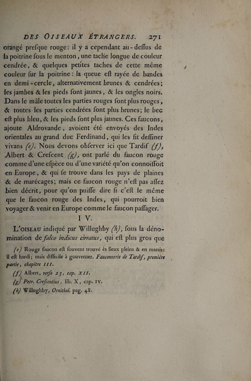 orangé prefque rouge: il y a cependant au-deflus de la poitrine fous le menton, une tache longue de couleur cendrée, & quelques petites taches de cette même couleur fur la poitrine : la queue efl rayée de bandes en demi-cercle, alternativement brunes & cendrées; les jambes 6c les pieds font jaunes, 6c les ongles noirs» Dans le mâle toutes les parties rouges font plus rouges, 6c toutes les parties cendrées font plus brunes; le bec efl plus bleu, 6c les pieds font plus jaunes. Ces faucons, ajoute Aldrovande, avoient été envoyés des Indes orientales au grand duc Ferdinand, qui les fit deffiner vivans (e). Nous devons obferver ici que Tardif (f), Albert 6c Crefcent fgj, ont parlé du faucon rouge comme d’une efpèce ou d’une variété qu’on connoiffoit en Europe, 6c qui fe trouve dans les pays de plaines 6c de marécages; mais ce faucon rouge n’efl pas allez bien décrit, pour qu’on puiffe dire fi c’eft le même que le faucon rouge des Indes, qui pourroit bien voyager 6c venir en Europe comme le faucon paffager. i y. L’oiseau indiqué par Willughby (h), fous la déno¬ mination tefalco indiens cirrams, qui efl plus gros que (e) Rouge faucon efl fouvent trouvé ès lieux pleins & en marais: il efl hardi ; mais difficile à gouverner. Fauconnerie de Tardif, première partie, chapitre ///. If) Albert, verfo 23, cap. XII. (g) Petr. Crefcentius, lib. X, cap. iy. (h) Willughby, Ornithol. pag. 48.