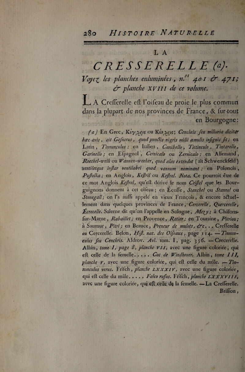 l A CRESSERELLE (<•)■ Voye£ les planches enluminées, nfs 4.01 & 471> ér planche XVIII de ce volume. L A Crefïerelle efl Foifeau de proie le plus commun dans la plupart de nos provinces de France, & fur-tout en Bourgogne; (a) En Grec, Kiypyiç ou ; Cenchris feu miliaria dicititr heec avis, ait Geftierus, quodpunâis nigris milii œmulis infignis fit; en Latin, Tinnunculus ; en Italien, Canibello, Tittinculo, Tintarello, Garinello ; en Efpagnol , Cernicalo ou Zernicalo ; en Allemand, Roethel-weih ou W'annen-waeher, quod alas extendat ( ait Schwenckfeld ) ventiletque infar ventilabri quod vannum nominant ; en Polonois , Pufolka ; en Anglois, Keflril ou Kefrel. Nota. Ce pourroit être de ce mot Anglois Kefrel, qu’eft dérivé le nom Crfel que les Bour¬ guignons donnent à cet oifeau ; en Ecofie , Stanchel ou Stannel ou Stonegall; on l’a aufli appelé en vieux François, & encore actuel¬ lement dans quelques provinces de France, Cercerelle, Quercerellc, Écrecelle. Salerne dit qu’on l’appelle en Sologne, Afe^y ; à Châlons- fur-Marne, Rabaillet; en Provence, Ratier; en Touraine, Pitriou; à Saumur, Pi tri ; en Beauce, Preneur de mulots, &c. . . Crefferelle ou Cercerelle. Belon, Hif. nat. des Oifeaux, page 114. —Tinnun¬ culus feu Cenchris. Aldrov. Avi. tom. I, pag. 35 6. —Crecerelle. Albin, tome 1, page 8, planche VU, avec une figure coloriée, qui eft celle de la femelle. .... Coc de Windhovcr. Albin, tome III, planche V, ayec une figure coloriée, qui elt celle du mâle. Tin¬ nunculus verus. Frifch, planche lxxxiv, avec une figure coloriée, qui eft celle du mâle. ...» Falco rufus. Frifch, planche LXXXV111, avec une figure coloriée, qui eft celle dç la femelle. —La Crelîèrelle. Brillon,