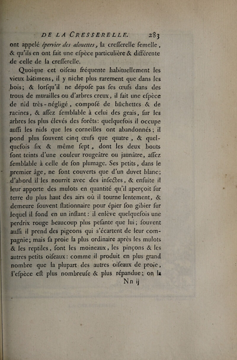 ont appelé épervier des alouettes, la crefferelle femelle , 6c qu’ils en ont fait une efpèce particulière 6c différente de celle de ia crefferelle. Quoique cet oifeau fréquente habituellement les vieux bâti mens, il y niche plus rarement que dans les bois; 6c lorfqu’il ne dépofe pas fes œufs dans des trous de murailles ou d’arbres creux, il fait une efpèce de nid très - négligé , compofé de bûchettes 6c de racines, 6c affez femblable à celui des geais, fur les arbres les plus élevés des forêts: quelquefois il occupe auffi les nids que les corneilles ont abandonnés ; il pond plus fouvent cinq œufs que quatre , 6c quel¬ quefois fix 6c même fept , dont les deux bouts font teints d’une couleur rougeâtre ou jaunâtre, affez femblable à celle de fon plumage. Ses petits, dans le premier âge, ne font couverts que d’un duvet blanc; d’abord il les nourrit avec des infeéles, 6c enfuite il leur apporte des mulots en quantité qu’il aperçoit fur terre du plus haut des airs où il tourne lentement, 6c demeure fouvent flationnaire pour épier fon gibier fur lequel il fond en un inftant : il enlève quelquefois une perdrix rouge beaucoup plus pefante que lui ; fouvent auffi il prend des pigeons qui s’écartent de leur com¬ pagnie; mais fa proie la plus ordinaire après les mulots 6c les reptiles, font les moineaux, les pinçons 6c les autres petits oifeaux: comme il produit en plus grand nombre que la plupart des autres oifeaux de proie , i’efpèce efl plus nombreufe 6c plus répandue ; on la Nn ij
