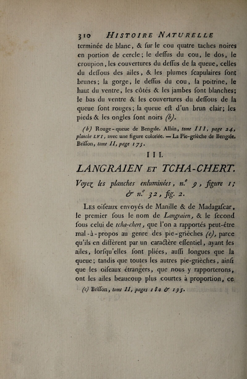 terminée de blanc, & fur le cou quatre taches noires en portion de cercle; le deffus du cou, le dos, le croupion, les couvertures du deffus de la queue, celles du deffous des ailes , 6c les plumes fcapulaires font brunes; la gorge, le deffus du cou, la poitrine, le haut du ventre, les côtés 6c les jambes font blanches; ie bas du ventre 6c les couvertures du deffous de la queue font rouges; la queue eft d’un brun clair; les pieds 6c les ongles font noirs (b). (b) Rouge-queue de Bengale. Albin, tome 111, page 24> planche LVI, avec une figure coloriée. — La Pie-grièche de Bengale. Briffon, tome II, page 175* I I I. LANG RAI EN et TCHA-CHERT. Voye^ les planches enluminées, nf p , figure 1 ; & il 3 2 , fg. 2. Les oifeaux envoyés de Manille 6c de Madagafcar, le premier fous le nom de Langraien, 6c le fécond fous celui de tcha-chert, que l’on a rapportés peut-être mal-à-propos au genre des pie-grièches (cj, parce qu’ils en diffèrent par un caraélère effentiel, ayant les ailes, lorfqu’elles font pliées, aufïï longues que la queue; tandis que toutes les autres pie-grièches, ainfi que les oifeaux étrangers, que nous y rapporterons, ont les ailes beaucoup plus courtes à proportion, ce (c) B ri (Ton, tome 11, pages / S 0 & / 9/.