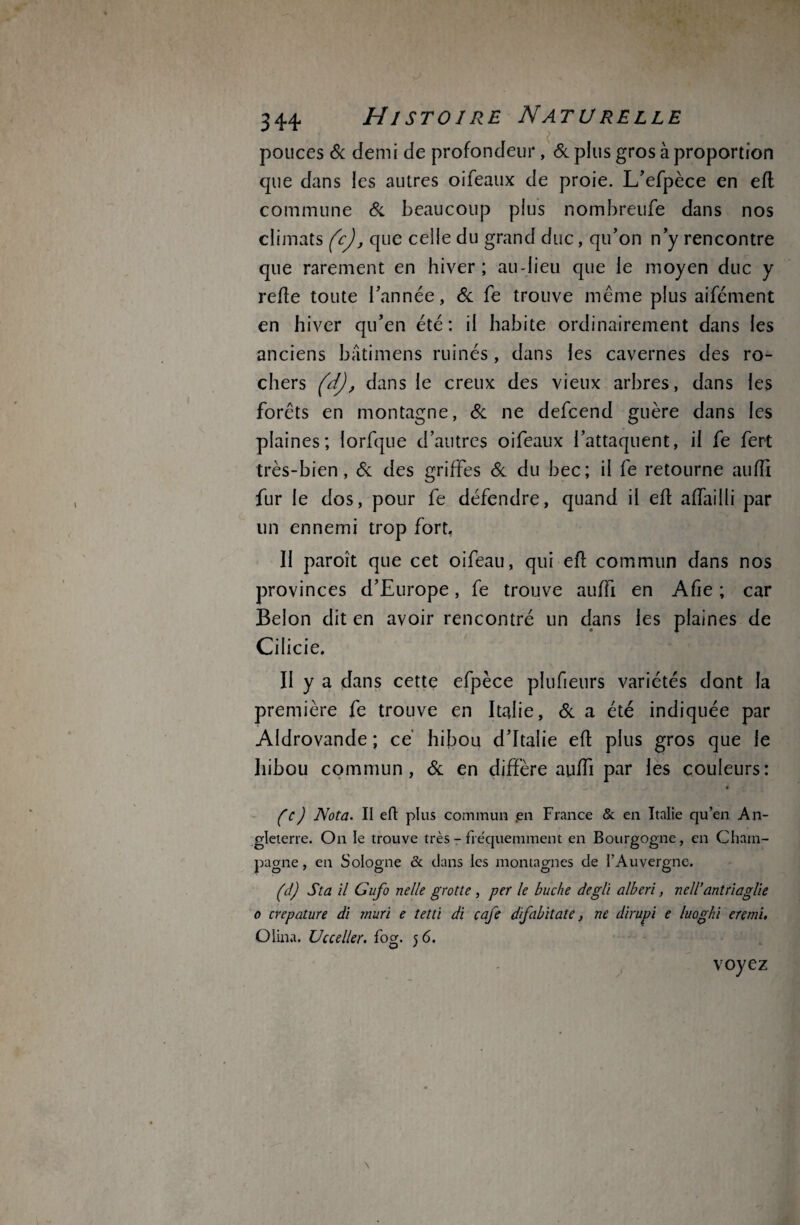 pouces & demi de profondeur, & plus gros à proportion que dans les autres oifeaux de proie. L’efpèce en eft commune & beaucoup plus nombreufe dans nos climats (c), que celle du grand duc, qu’on n’y rencontre que rarement en hiver; audieu que le moyen duc y refie toute l’année, & fe trouve même plus aifément en hiver qu’en été: il habite ordinairement dans les anciens bâtimens ruinés, dans les cavernes des ro¬ chers (dj, dans le creux des vieux arbres, dans les forêts en montagne, & ne defcend guère dans les plaines; lorfque d’autres oifeaux l’attaquent, il fe fert très-bien, & des griffes & du bec; il fe retourne auiïi fur le dos, pour fe défendre, quand il eff affaiüi par un ennemi trop fort. Il paroît que cet oifeau, qui efl commun dans nos provinces d’Europe, fe trouve auffi en Afie ; car Belon dit en avoir rencontré un dans les plaines de Cilicie. Il y a dans cette efpèce plufietirs variétés dont la première fe trouve en Italie, de a été indiquée par Aldrovande ; ce hibou d’Italie efl plus gros que le hibou commun, de en diffère auffi par les couleurs: , ^ ^ 9 (c) JSota. II eft plus commun en France & en Italie qu’en An¬ gleterre. On le trouve très - fréquemment en Bourgogne, en Cham¬ pagne , en Sologne & dans les montagnes de l’Auvergne. (d) St a il Gufo nelle grotte , per le bûche deglï alberi, nell’antriaglie o crepature di mûri e tetti di café dfabitate, ne dirupi e luoghi eremi, Olina. Ucceller. fog. 5 6. voyez