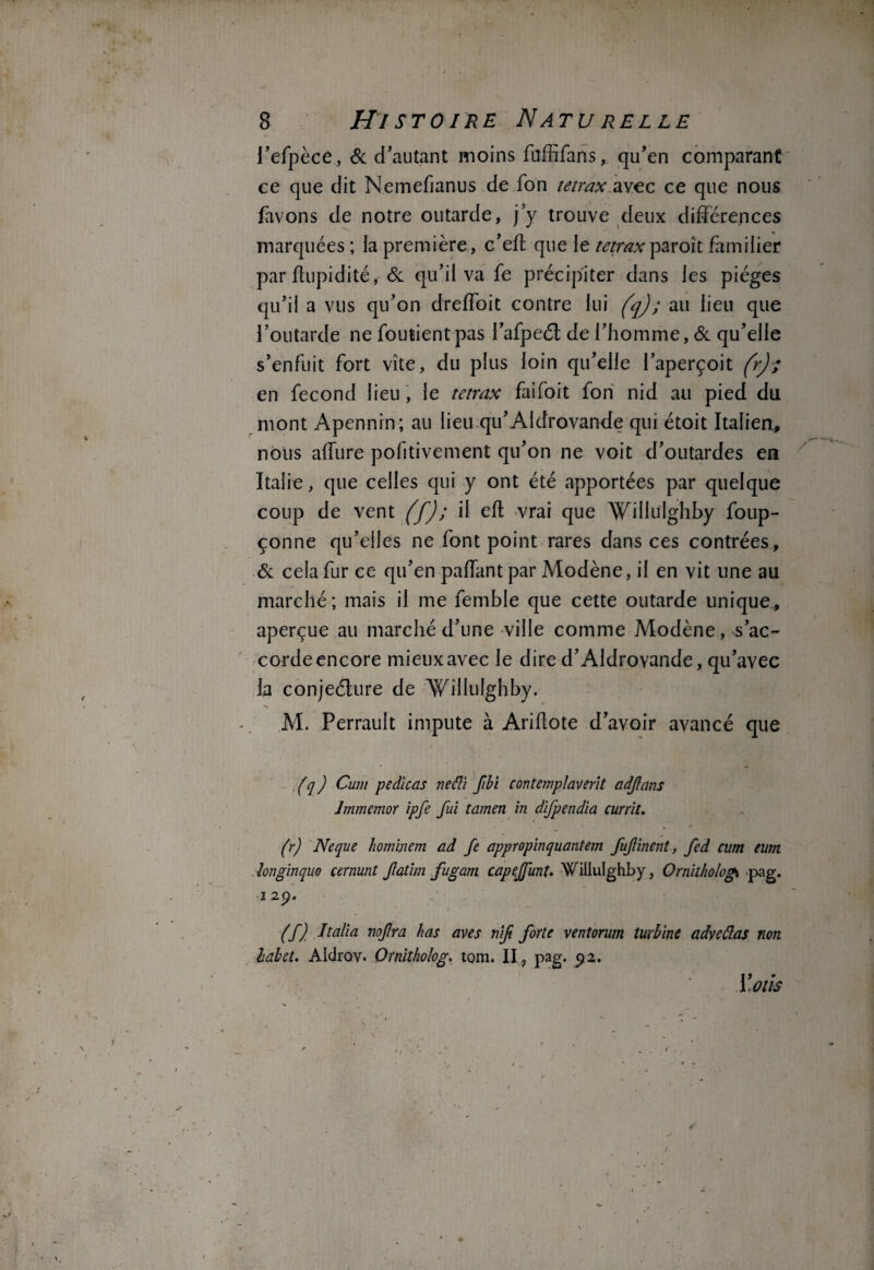 l’efpèce, & d'autant moins füffifaris, qu'en comparant ce que dit Nemefianus de fon tetrax avec ce que nous lavons de notre outarde, j’y trouve deux différences marquées ; la première, c’eft que le tetrax paroît familier par ffupidité, 8c qu’il va fe précipiter dans les pièges qu’il a vus qu’on dreffoit contre lui (q) ; au lieu que l’outarde ne foutientpas l’afpeét de l’homme, 8c qu’elle s’enfuit fort vite, du plus loin qu’elle l’aperçoit (r) ; en fécond lieu, le tetrax faifoit fon nid au pied du mont Apennin; au lieu qu’AIdrovande qui étoit Italien, nous alfure pofitivement qu’on ne voit d’outardes en Italie, que celles qui y ont été apportées par quelque coup de vent (f) ; il eft vrai que Willulghby foup- çonne qu’elles ne font point rares dans ces contrées, 8c cela fur ce qu’en paffant par Modène, il en vit une au marché ; mais il me femble que cette outarde unique, aperçue au marché d’une ville comme Modène, s’ac¬ corde encore mieux avec le dire d’Aldrovande, qu’avec la conjeélure de Willulghby. M. Perrault impute à Ariffote d’avoir avancé que (q ) Cum pedicas ne Si fibi contemplaverit adjlans Immemor ipfe fui tamen in difpendia currit. (r) Ne que hommem ad fe appropinquantem fufinent, fed cum eum longinquo cernunt fatim fugam capejfunt. Willulghby, Ornitholog* pag. i 2p. (f) Italia nofra h as ave s nifi forte ventorum turbine adveflas non habet. Aicirov. Ornitholog. tom. II, pag. p2. i> * Ï.OtlS