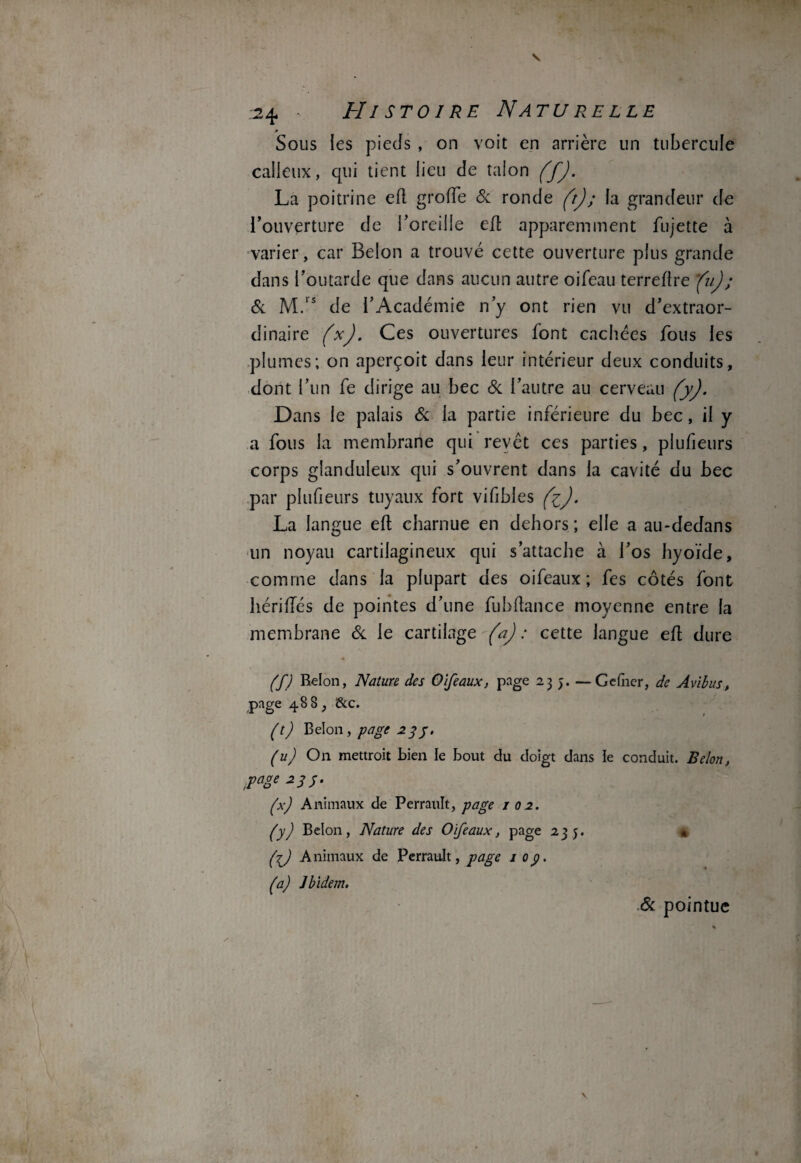 p Sous les pieds , on voit en arrière lin tubercule calleux, qui tient lieu de talon ffj. La poitrine efl groiïe & ronde (t) ; la grandeur de l’ouverture de l’oreille eft apparemment fujette à varier, car Belon a trouvé cette ouverture plus grande dans l’outarde que dans aucun autre oifeau terreflre fuj; 8c M.ls de l’Académie n’y ont rien vu d’extraor¬ dinaire (xJ. Ces ouvertures font cachées fous les plumes; on aperçoit dans leur intérieur deux conduits, dont l’un fe dirige au bec 8c l’autre au cerveau (y). Dans le palais 8c la partie inférieure du bec, il y a fous la membrane qui revêt ces parties, plufieurs corps glanduleux qui s’ouvrent dans la cavité du bec par plufieurs tuyaux fort vifibles fij. La langue efl charnue en dehors ; elle a au-dedans un noyau cartilagineux qui s’attache à l’os hyoïde, comme dans la plupart des oiféaux ; fes côtés font hériflés de pointes d’une fubfïance moyenne entre la membrane 8c le cartilage (a): cette langue efl dure (f) Reion, Nature des Oifeaux, page 235. —Celner, de Avibus, page 488, &c. /t) Belon , page 23 j, (u) On mettroit bien le bout du doigt dans le conduit. Belon, y âge 233. (x) Animaux de Perrault, page 102. ('y) Belon, Nature des Oifeaux, page 235. * (jJ Animaux de Perrault, page 10p. (a) Jbidem. 8c pointue