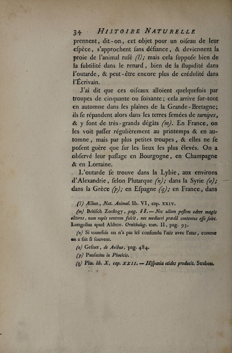 prennent, dit-on, cet objet pour un oifeau de leur efpèce, s'approchent fans défiance, & deviennent la proie de l’animai rufé (l); mais cela fuppofe bien de la fubtilité dans le renard , bien de la fiupidité dans l’outarde, & peut-être encore plus de crédulité dans l’Écrivain. J’ai dit que ces oifeaux aboient quelquefois par troupes de cinquante ou foixante; cela arrive fur-tout en automne dans les plaines de la Grande-Bretagne; ils fe répandent alors dans les terres femées de turnipes, & y font de très-grands dégâts (m). En France, on les voit palier régulièrement au printemps & en au¬ tomne , mais par plus petites troupes , & elles ne fe pofent guère que fur les lieux les plus élevés. On a obfervé leur paiïage en Bourgogne, en Champagne & en Lorraine. L’outarde fe trouve dans la Lybie, aux environs d’Alexandrie, félon Plutarque (n) ; dans la Syrie (o); dans la Grèce (p); en Efpagne (q); en France, dans (l) Ælian, Nat. Animal. lib. VI, cap. XXiv. (m) Britifch Zoology, pag. 88. — Nec ullam pejlem odere magis clitores, nam rapis ventrem fulcit, nec mediocri prœdâ contentus ejfe folet. JLongolius apud Aldrov. Ornitkolog. tom. II, pag. 93. (n) Si toutefois on n’a pas ici confondu Yotis avec Yotus, comme ©n a fait fi fouvent. (0) Gefiier, de Avibus, pag. 484. (p) Paufanias in Phocicis. (q) Plia. lib. X, cap, xxIJ» — Hifpania otides produit, Strabon. 1 1