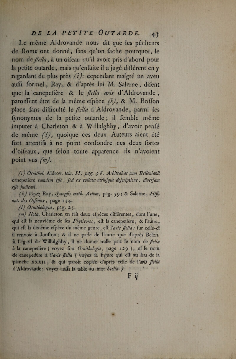 Le même Aldrovande nous dit que les pêcheurs de Rome ont donné, fans qu’on fâche pourquoi, le nom deJlella, à un oifeau qu’ii avoit pris d’abord pour Ja petite outarde, mais qu'enfui te il a jugé différent en y regardant de plus près fi): cependant malgré un aveu auffi formel, Ray, & d’après lui M. Saierne, difent que la canepetière & le (iclla avis d’Aldrovande , paroiffent être de la même efpèce fk), Si M. Briffon place fans difficulté le Jlella d’Aldrovande, parmi les fynonymes de la petite outarde ; il femble même imputer à Charleton Si à Willulghby, d’avoir penfé de même fl), quoique ces deux Auteurs aient été fort attentifs à ne point confondre ces deux fortes d’oifeaux, que félon toute apparence ils n’avoient point vus (m). (1 ) Ornithol. Aldrov. torn. II, pag. p S. Arbitralar cum Belloniana canepetière eamdem ejje, fed ex col/ata utriufque defcriplione, diverfam ejje judkavi. (h) Vayer Ray, Synopjis meth. Avium, pag. 59 ; & Saierne, HJ, nat. des O if eaux, page 154. (l) Ornithologia, pag. 25. (m) Nota. Charleton en fait deux efpèces differentes, dont l’une, qui e(t la neuvième de fès Phytivores, eft la canepetière ; & l’autre., qui eft la dixième efpèce du même genre, eft l’avis Jlella : fur celle-ci il renvoie à Jonfton ; & il ne parle de l’autre que d’après Belon. X l’égard de Wiflulghby, if ne donne nulle part le nom de Jlella à la canepetière ( voyez fon Ornithologie, page 129 ); ni le nom de canepetsère à l’avis Jlella ( voyez la figure qui eft au bas de la planche xxxil , & qui paroft copiée d’après celle de l’avis Jlelld d’Aldrovande ; voyez auffi la table au mot Stella. ) F i;