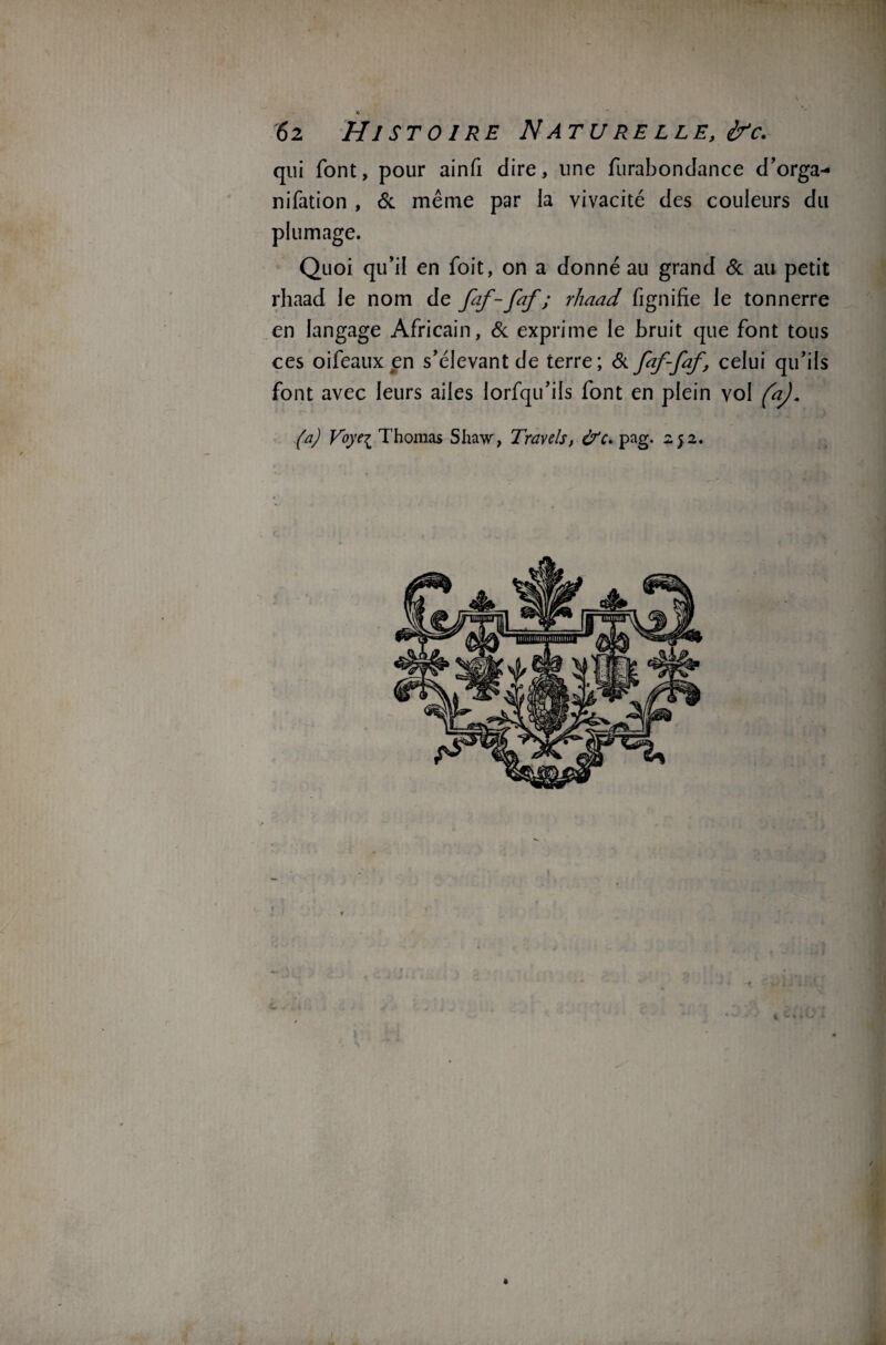 V 62 Histoire Naturelle, i/c. qui font, pour ainfi dire, une furabondance d’orga- nifation , 6c même par la vivacité des couleurs du plumage. Quoi qu’il en foit, on a donné au grand 6c au petit rhaad le nom de fif-faf; rhaad fignifïe le tonnerre en langage Africain, 6c exprime le bruit que font tous ces oifeaux en s’élevant de terre; 6c fcf-fœf, celui qu’ils font avec leurs ailes lorfqu’ils font en plein vol (aj. (a) Voyei Thomas Shaw, Travels, &c* pag. 252. I