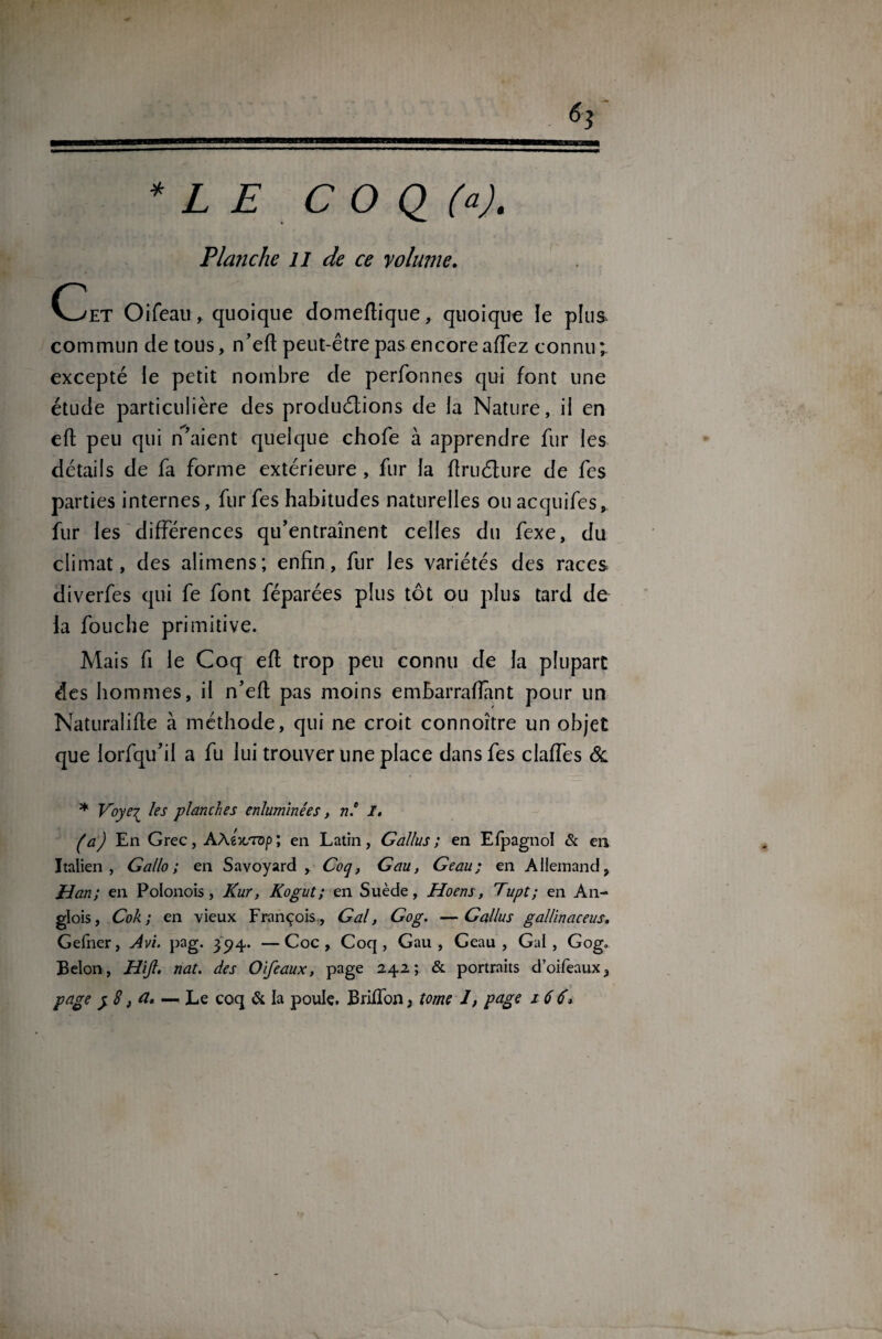 * L E C O Q (a). Planche il de ce yolume. Cet Oifeau, quoique domeftique, quoique le plus commun de tous, n’eft peut-être pas encore affcz connu; excepté le petit nombre de perfonnes qui font une étude particulière des productions de la Nature, il en eft peu qui n’aient quelque chofe à apprendre fur les détails de fa forme extérieure , fur la ftruéture de fcs parties internes, furfes habitudes naturelles ouacquifes, fur les différences qu’entraînent celles du fexe, du climat, des alimens; enfin, fur les variétés des races diverfes qui fe font féparées plus tôt ou plus tard de la fouche primitive. Mais fi le Coq eft trop peu connu de la plupart des hommes, il n’efl pas moins embarraflant pour un Naturalise à méthode, qui ne croit connoître un objet que lorfqu’il a fu lui trouver une place dans fes claffes <Sc * Voye^ les planches enluminées, né I. (a) En Grec, AAÔcTop; en Latin, Gallus; en Efpagnol & en Italien, G allô ; en Savoyard , Coq, Gau, Geau; en Allemand, Han; en Polonois , Kur, Kogut; en Suède, Hoens, Tupt; en An- glois, Cok ; en vieux François , Gai, Gog. —Gallus gallinaceus. Gefner, Avi. pag. 394. —Coc , Coq, Gau, Geau, Gai, Gog. Belon, Hijl. nat. des O if e aux, page 242; & portraits d’oifeaux,