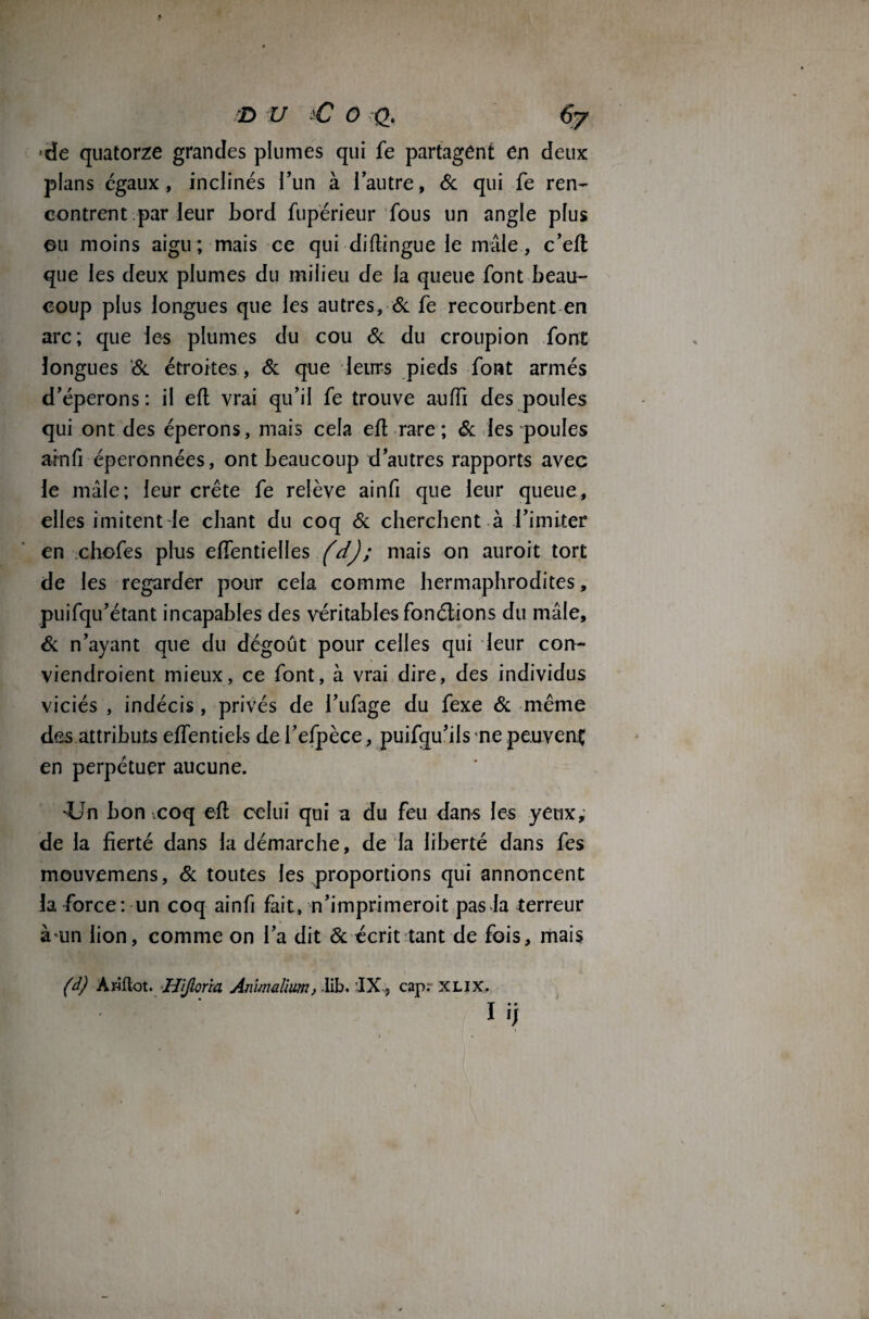 de quatorze grandes plumes qui fe partagent en deux plans égaux, inclinés l’un à l’autre, 6c qui fe ren¬ contrent par leur bord fupérieur fous un angle plus ou moins aigu; mais ce qui diftingue le mâle, c’eft que les deux plumes du milieu de la queue font beau¬ coup plus longues que les autres, 6c fe recourbent en arc; que les plumes du cou 6c du croupion font longues 6c étroites , 6c que leurs pieds font armés d’éperons: il eft vrai qu’il fe trouve auiïi des poules qui ont des éperons, mais cela eft rare ; 6c les poules arnfi éperonnées, ont beaucoup d’autres rapports avec le mâle; leur crête fe relève ainfi que leur queue, elles imitent le chant du coq 6c cherchent à l’imiter en chofes plus effentielles (d); mais on auroit tort de les regarder pour cela comme hermaphrodites, puifqu’étant incapables des véritables fonétions du mâle, 6c n’ayant que du dégoût pour celles qui leur con- viendroient mieux, ce font, à vrai dire, des individus viciés , indécis, privés de l’ufage du fexe 6c même des attributs effentiels de l’efpèce, puifqu’ils ne peuvent; en perpétuer aucune. -Un bon coq eft celui qui a du feu dans les yeux, de la fierté dans la démarche, de la liberté dans fes mouvemens, 6c toutes les proportions qui annoncent la force: un coq ainfi fait, n’imprimeroit pas la terreur à-un lion, comme on l’a dit 6c écrit tant de fois, mais (d) Àwftot. Hijloria Ariimalïum, lib. IX, cap; xlix.