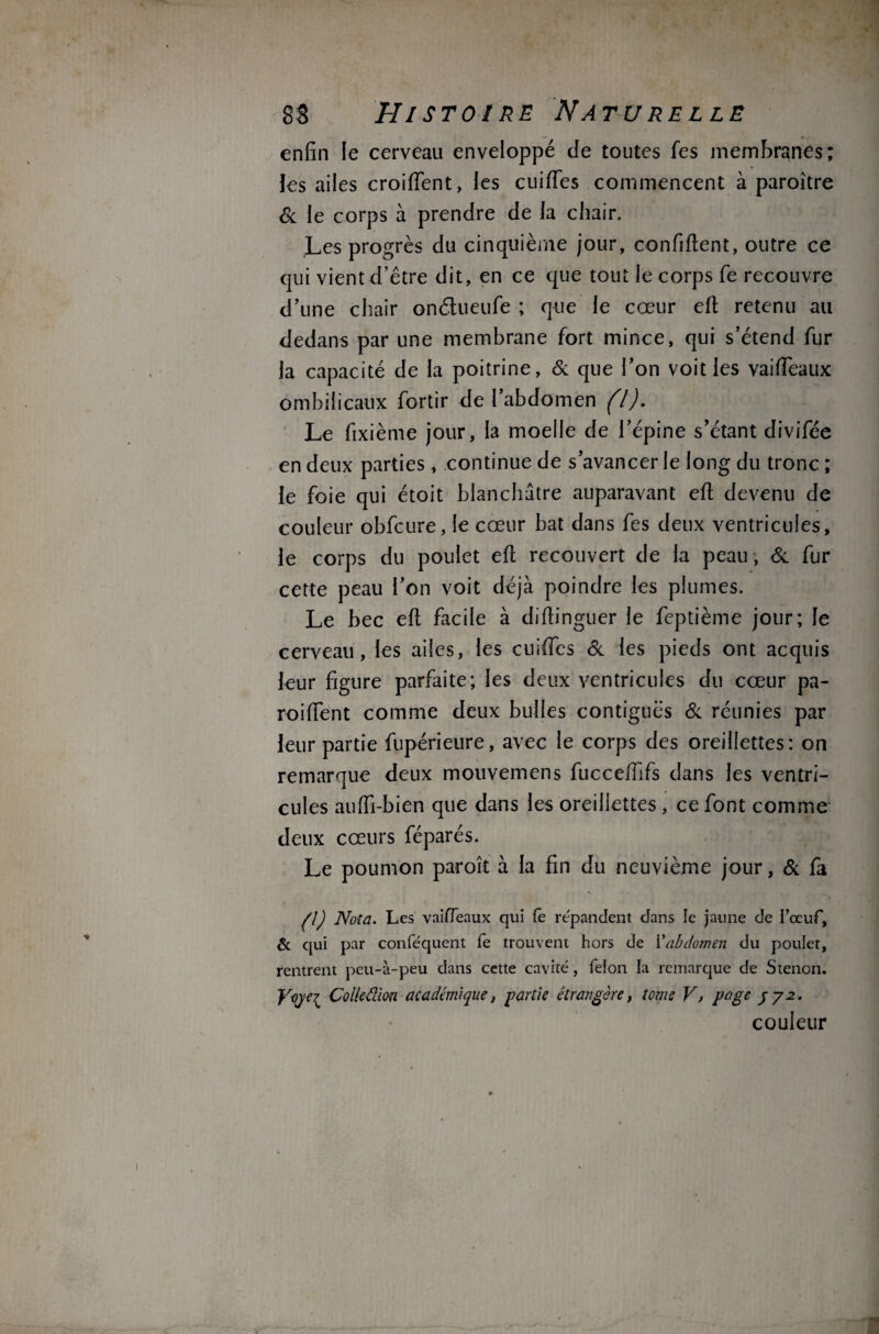 enfin le cerveau enveloppé de toutes Tes membranes; les ailes croiftent, les cuiffes commencent à paroître 6c le corps à prendre de la chair. Les progrès du cinquième jour, confident, outre ce qui vient d’être dit, en ce que tout le corps fe recouvre d’une chair onétueufe ; que le cœur eft retenu au dedans par une membrane fort mince, qui s’étend fur la capacité de la poitrine, 6c que l’on voit les vaiffeaux ombilicaux fortir de l’abdomen fl J. Le fixième jour, la moelle de l’épine s’étant divifée en deux parties, continue de s’avancer le long du tronc ; le foie qui étoit blanchâtre auparavant eft devenu de couleur obfcure, le cœur bat dans fes deux ventricules, le corps du poulet eft recouvert de la peau, 6c fur cette peau l’on voit déjà poindre les plumes. Le bec eft facile à diftinguer le fcptième jour; le cerveau, les ailes, les cuiftes 6c les pieds ont acquis leur figure parfaite; les deux ventricules du cœur pa- roiftent comme deux bulles contiguës 6c réunies par leur partie fupérieure, avec le corps des oreillettes: on remarque deux mouvemens fucceftlfs dans les ventri¬ cules aufti-bien que dans les oreillettes, ce font comme deux cœurs féparés. Le poumon paroît à la fin du neuvième jour, 6c fa flj Nota. Les vaiffeaux qui te répandent dans te jaune de l’œuf, & qui par conféquent fe trouvent hors de i'abdomen du poulet, rentrent peu-à-peu dans cette cavité, félon la remarque de S tenon. Colle dion académique, partie étrangère, tome V, page / y 2. couleur